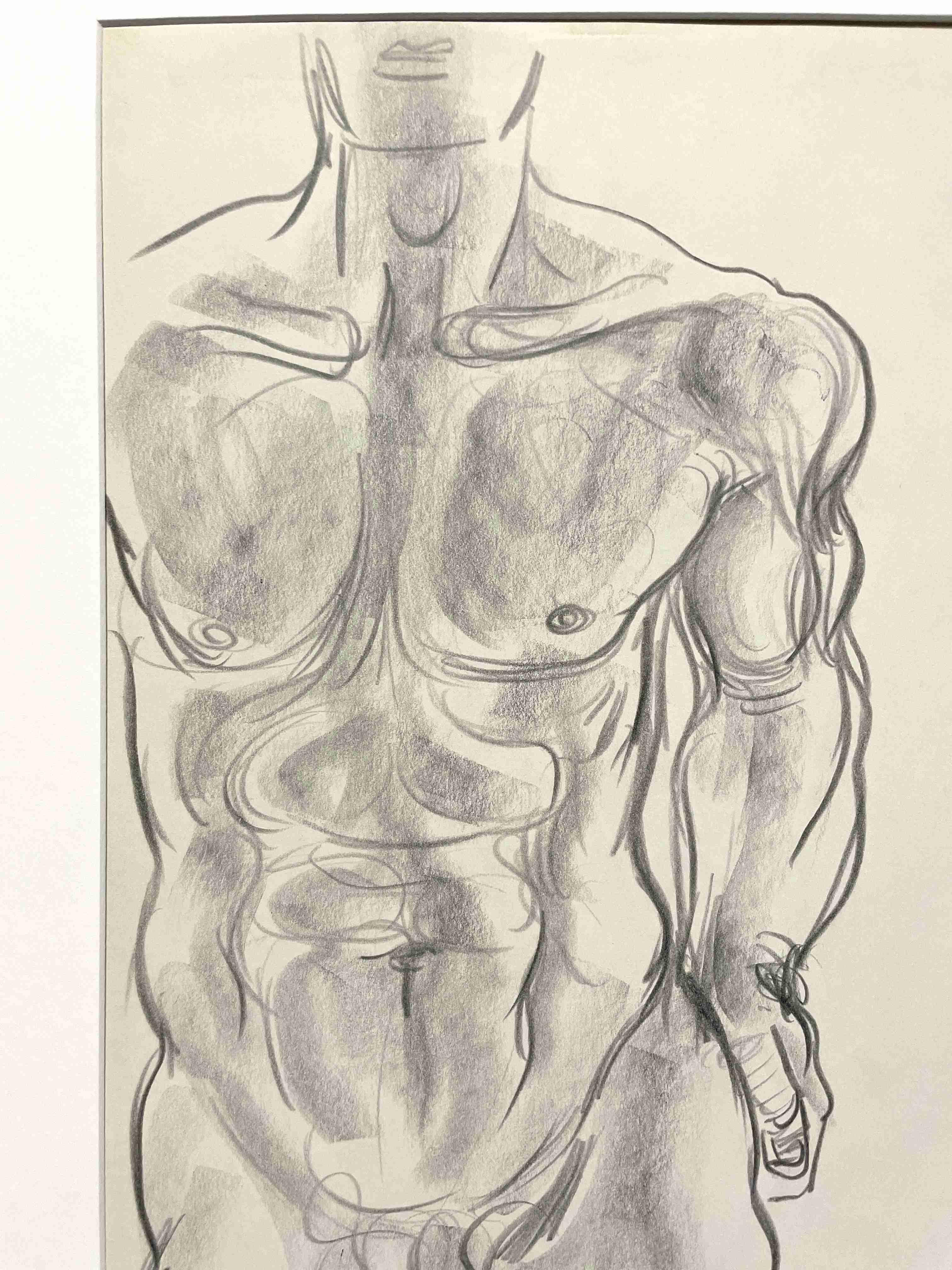 Figure Study (Standing Male- Torso) For Sale 1