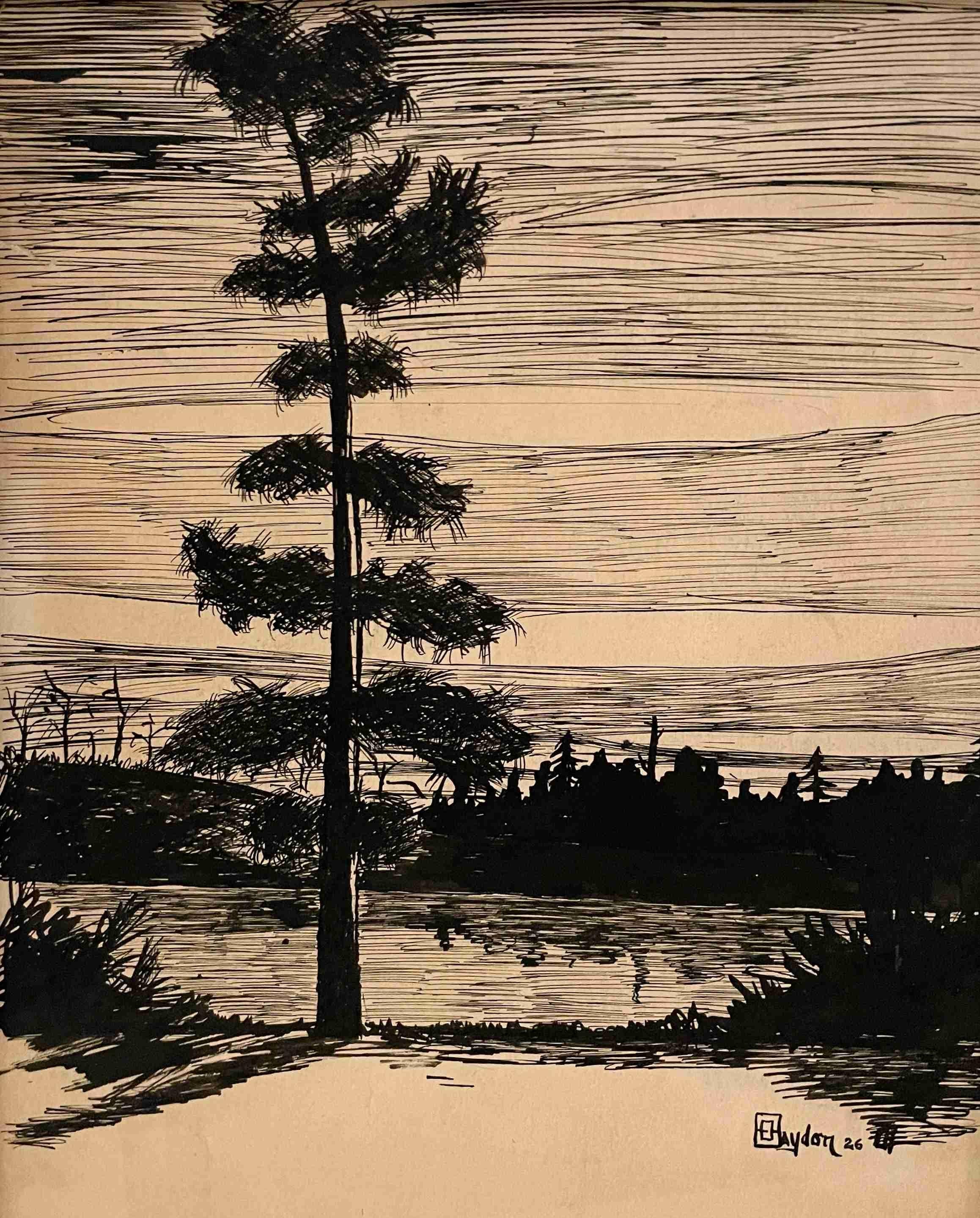 Tinte auf Papier Zeichnung eines Zeichnungs eines Zedernbaums und eines nördlichen Sees des Künstlers Harold Haydon im Angebot 1
