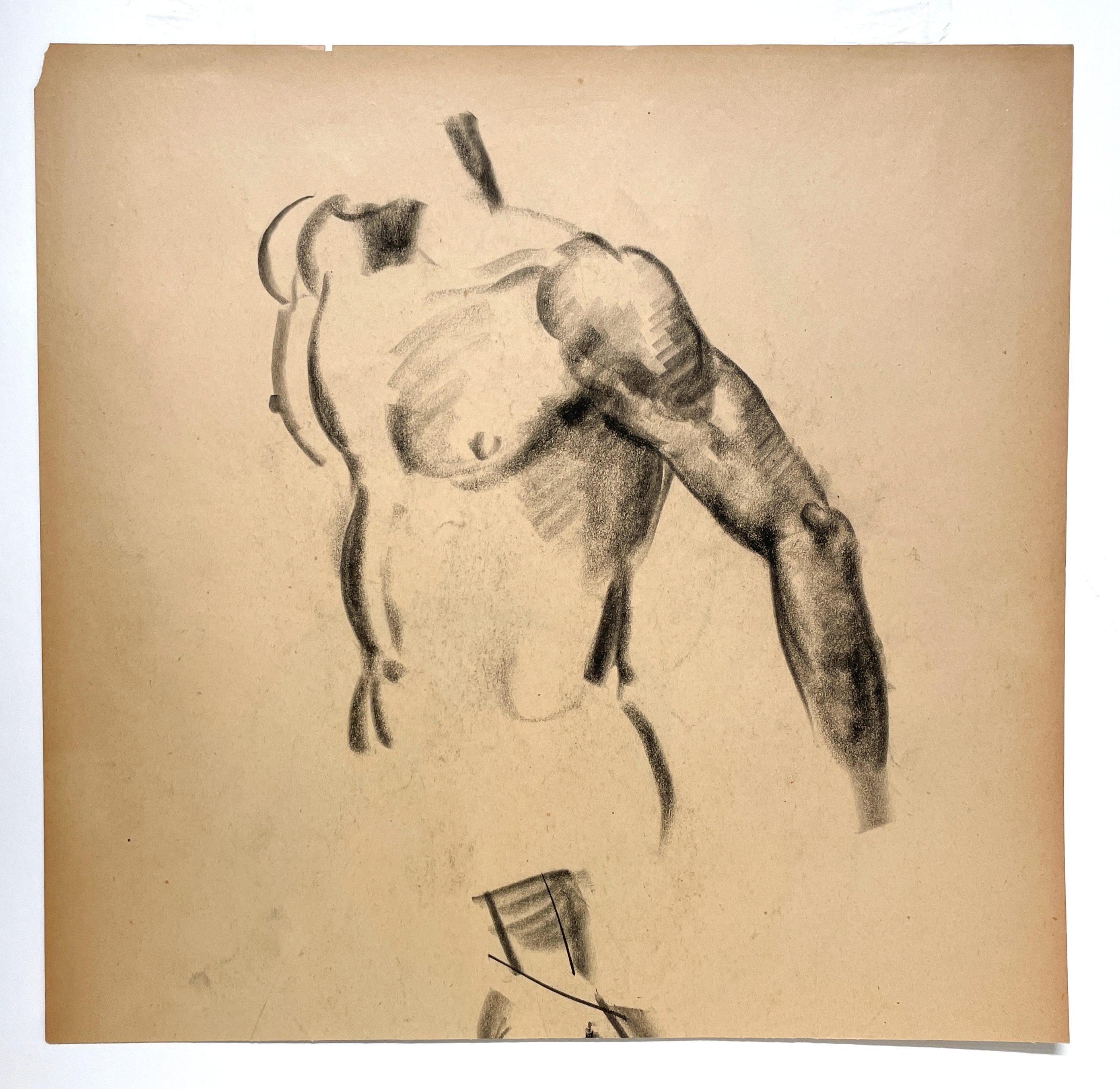 A Very Finely Drawn 1930s Young Male Nude Figure Study, Shoulder, Arm & Torso For Sale 1