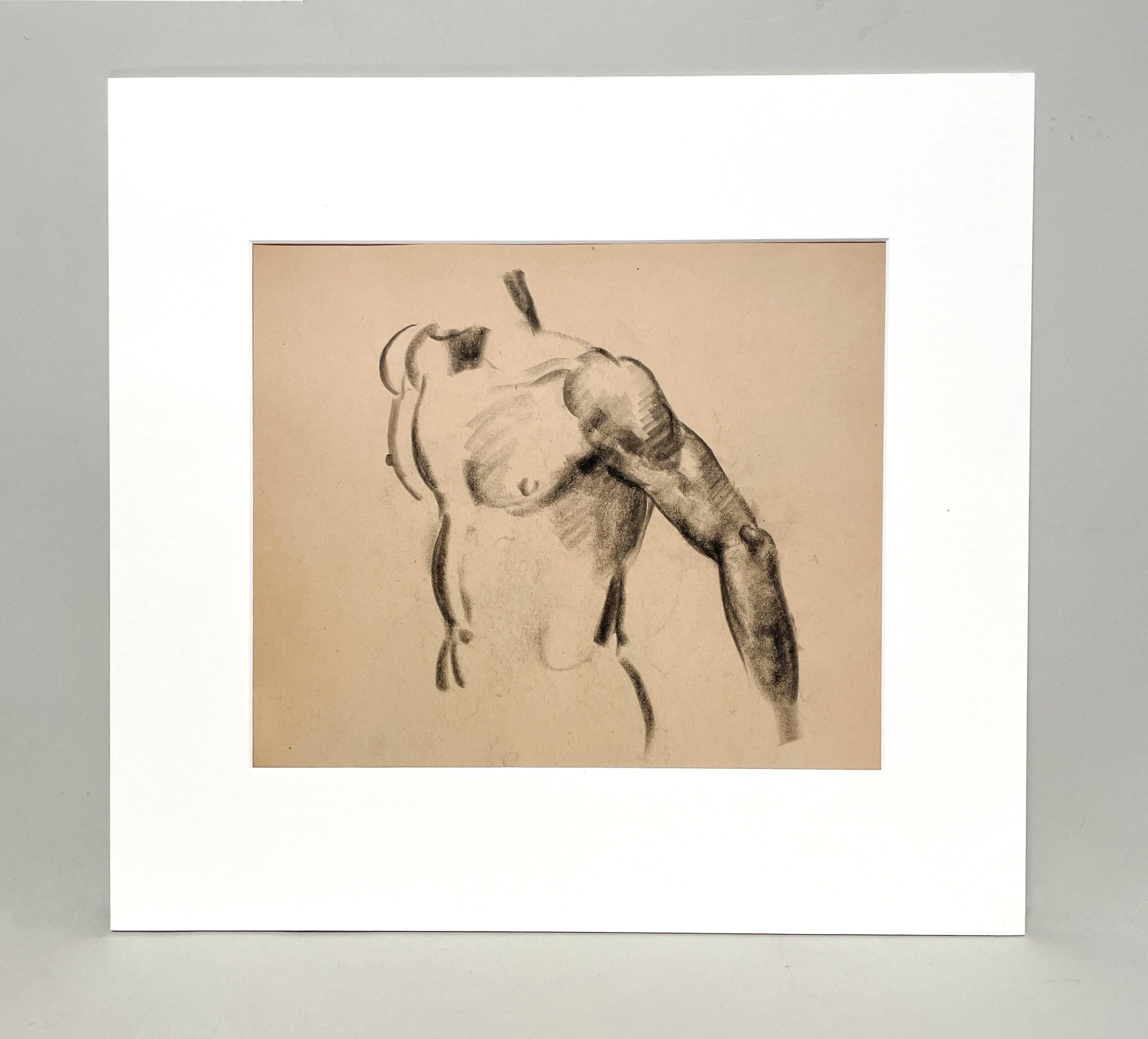 A Very Finely Drawn 1930s Young Male Nude Figure Study, Shoulder, Arm & Torso - Art by Harold Haydon