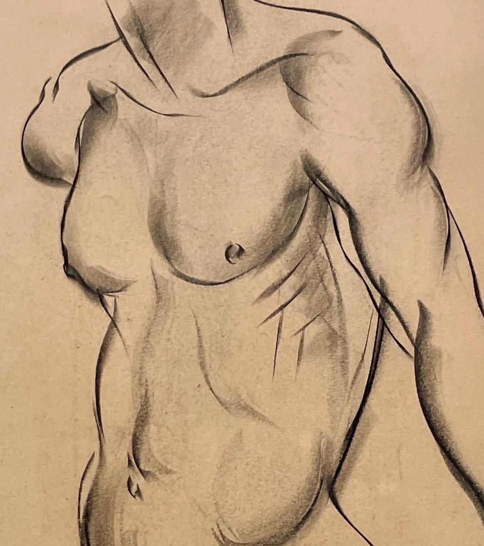Étude de figure très finement dessinée dans les années 1930 d'un jeune modèle No No (étude de torse) - Marron Nude par Harold Haydon