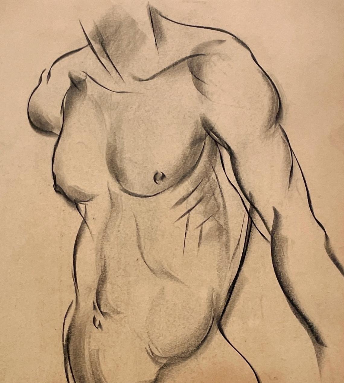 Étude de figure très finement dessinée dans les années 1930 d'un jeune modèle masculin nu (étude de torse) par le célèbre artiste moderne de Chicago, Harold Haydon (Am. 1909-1994).   Un premier dessin au fusain de Haydon, qui témoigne de son talent