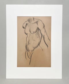 Estudio de la figura de un joven modelo masculino desnudo (Estudio del torso), muy bien dibujado, de los años 30
