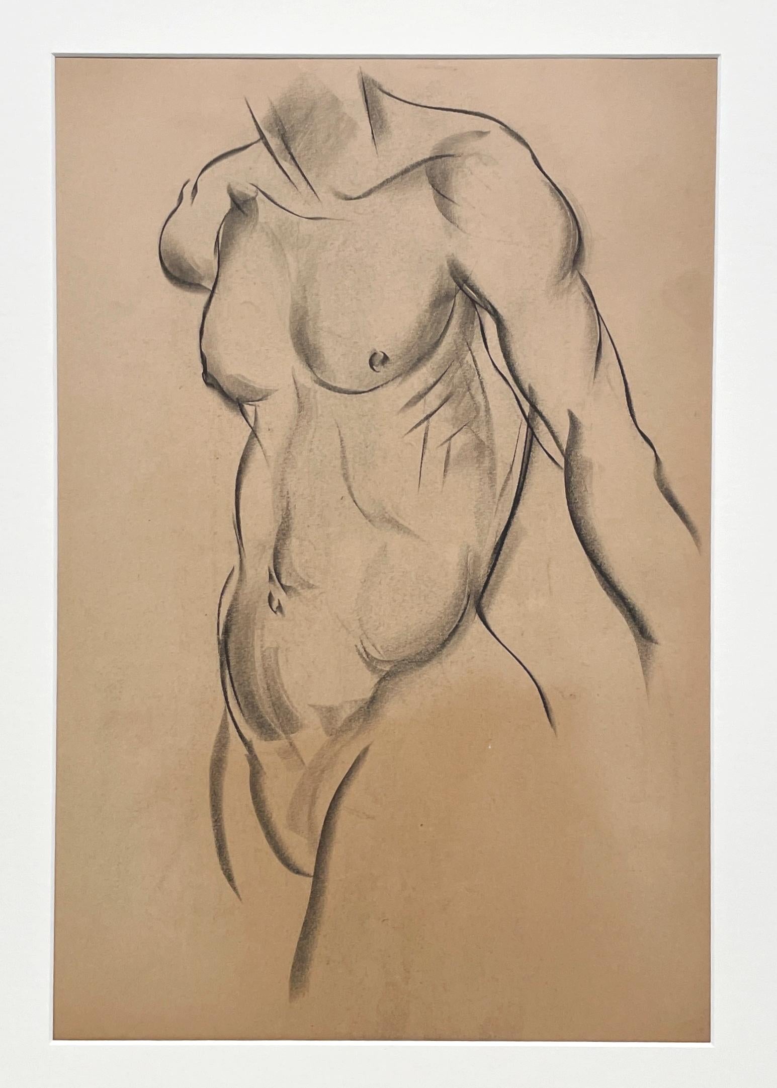 Étude de figure très finement dessinée dans les années 1930 d'un jeune modèle No No (étude de torse) - Modernisme américain Art par Harold Haydon