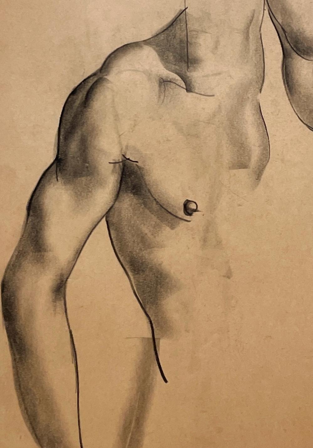 A Very Finely Drawn 1930s Modern Figure Study of a Young Male Nude Model (Torso) For Sale 1