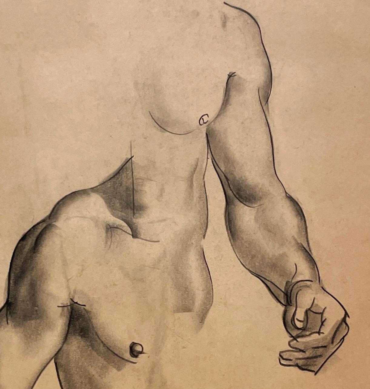 A Very Finely Drawn 1930s Modern Figure Study of a Young Male Nude Model (Torso) For Sale 2