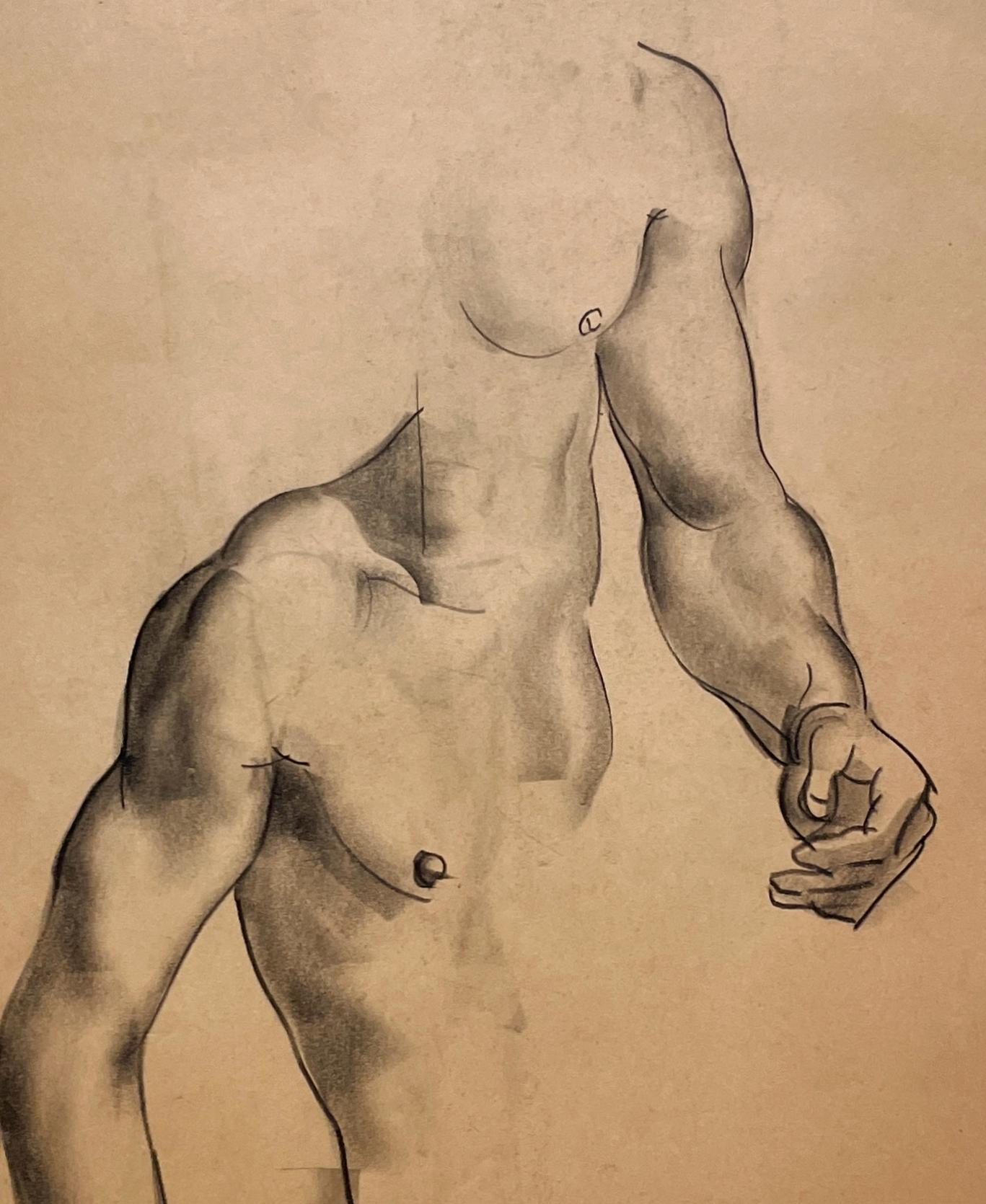 A Very Finely Drawn 1930s Modern Figure Study of a Young Male Nude Model (Torso) For Sale 3