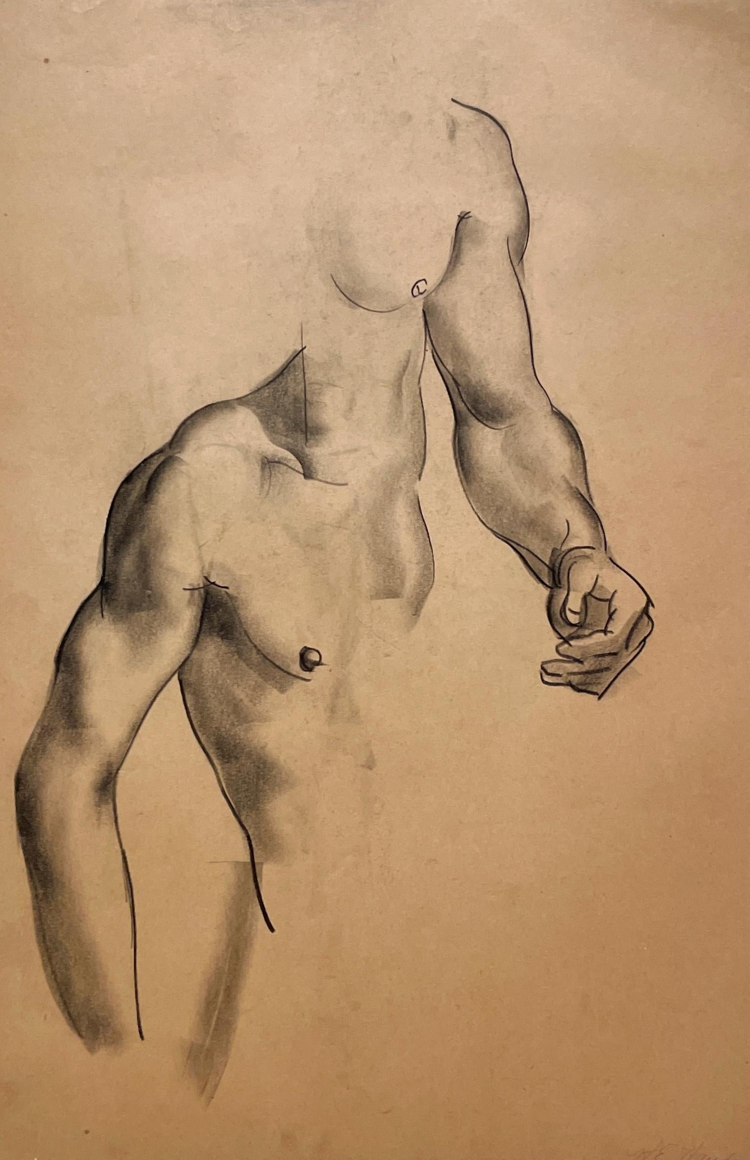 A Very Finely Drawn 1930s Modern Figure Study of a Young Male Nude Model (Torso) For Sale 4