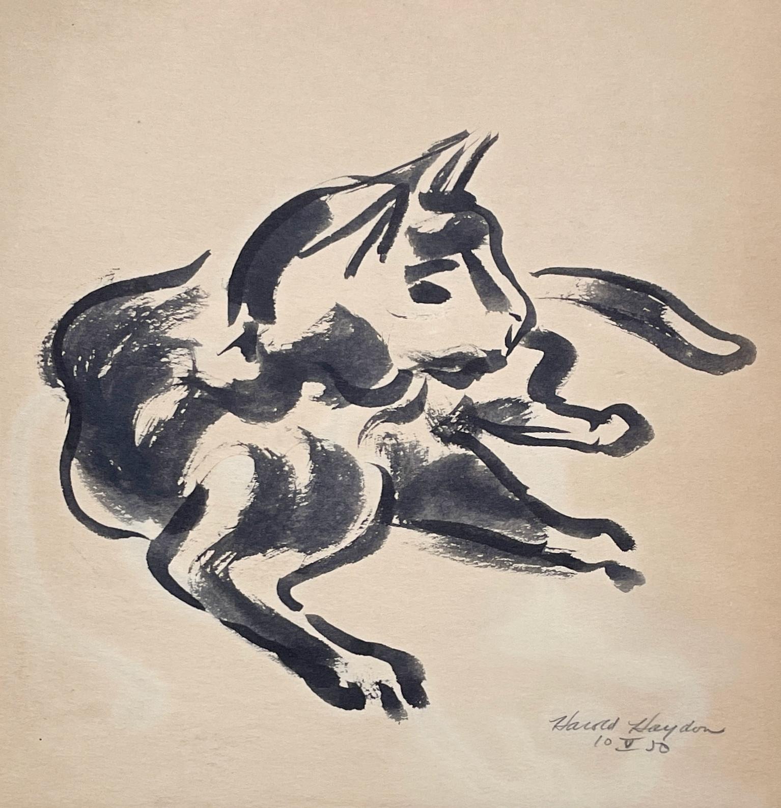 Disegno Disegni e acquarelli (animali)