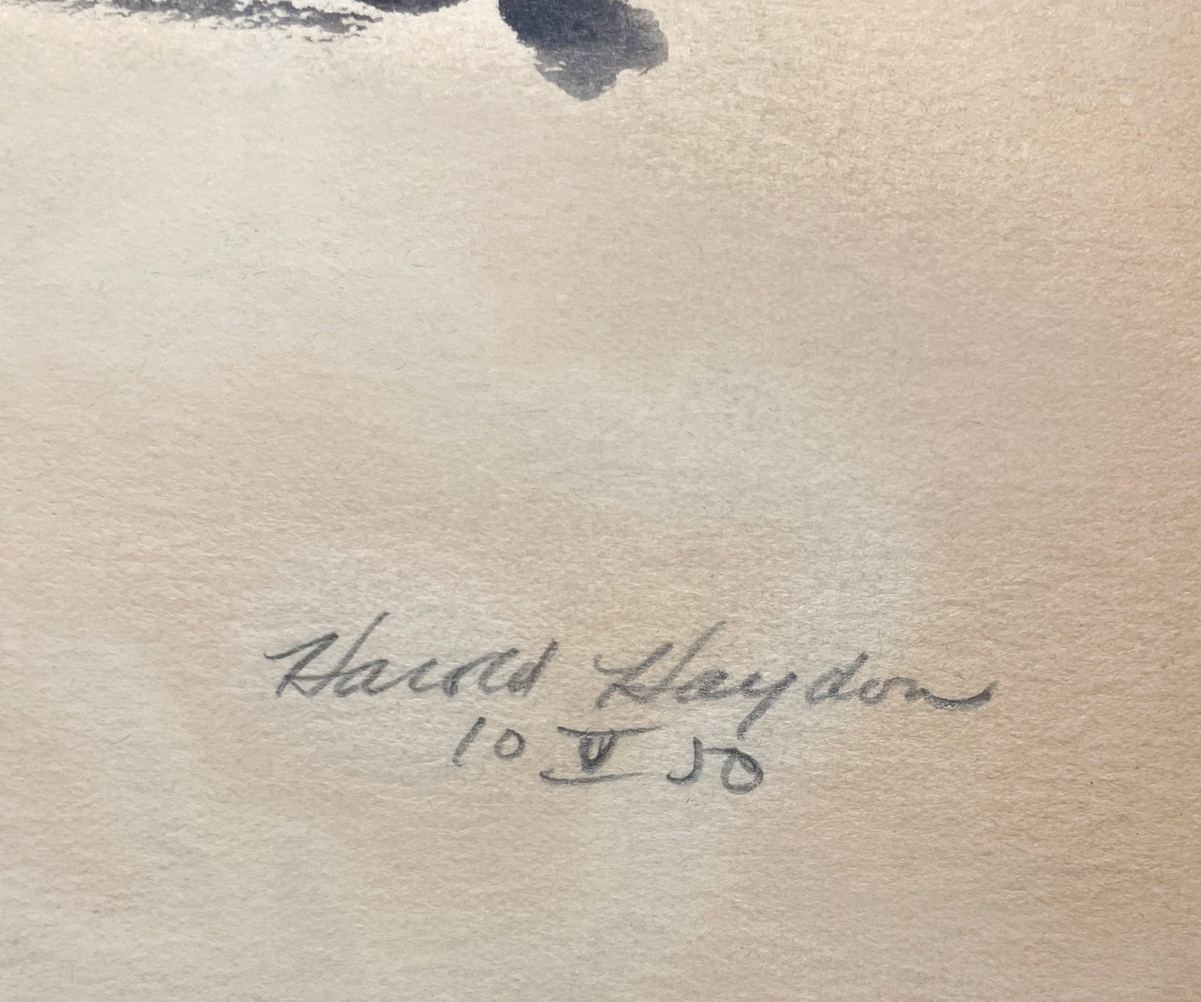 Délicieux dessin à l'encre d'un chat se reposant, datant des années 1950. en vente 1