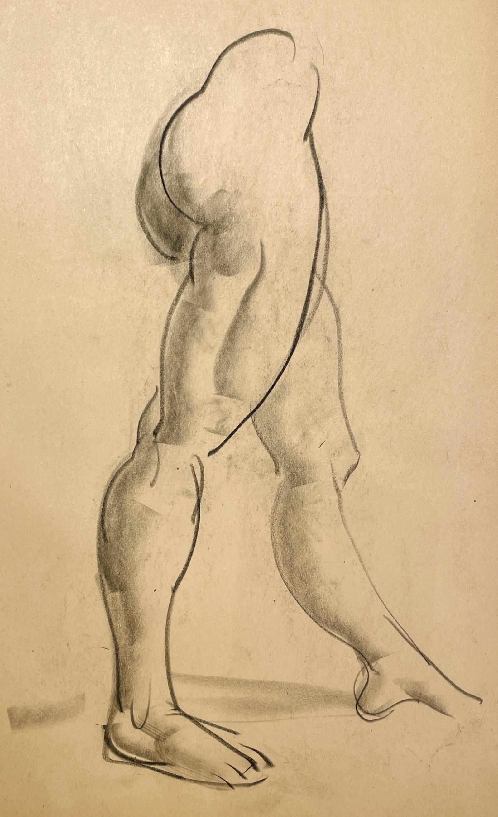 Dibujo de estudio anatómico de un modelo masculino, moderno y académico de los años 30 - Nude Beige de Harold Haydon