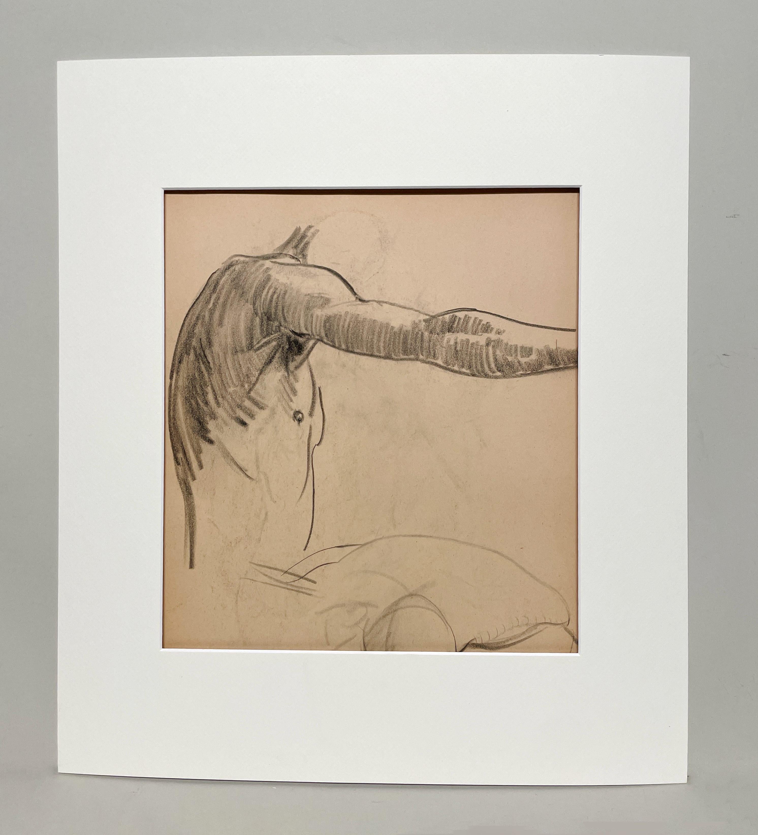 Dessin d'étude anatomique d'un modèle masculin, moderne et académique des années 1930. - Art de Harold Haydon
