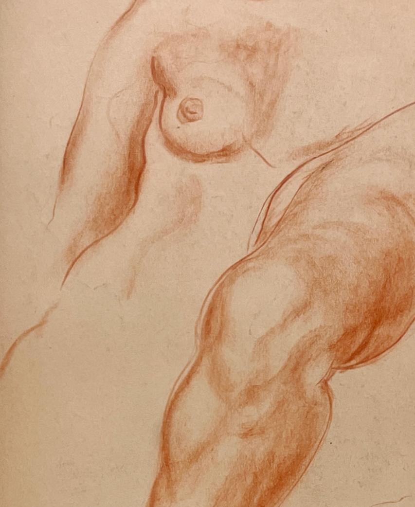 Dessin d'étude anatomique d'une figure féminine, moderne et académique des années 1930 - Marron Nude par Harold Haydon