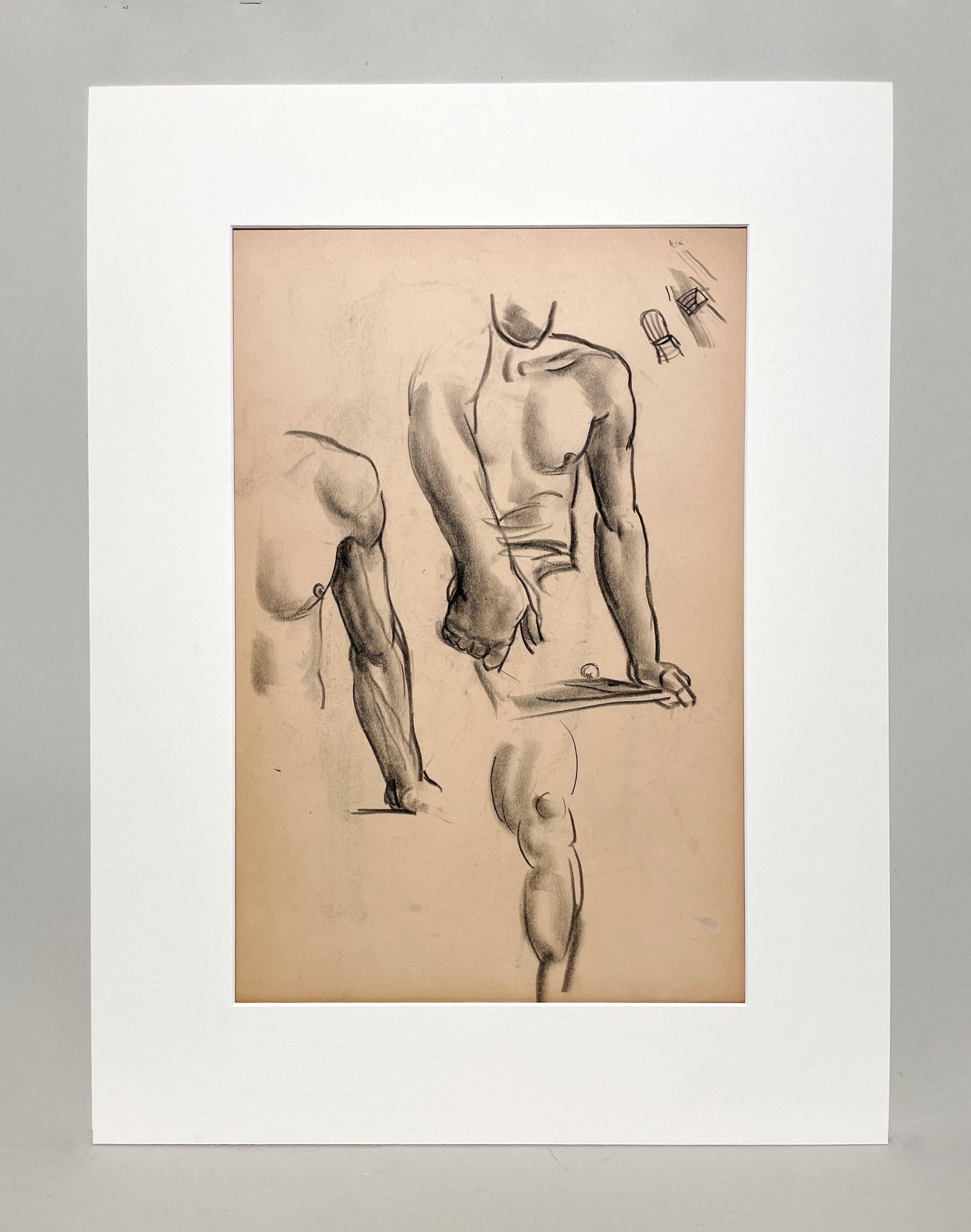 Dessin d'étude anatomique d'un modèle masculin, moderne et académique des années 1930. - Art de Harold Haydon