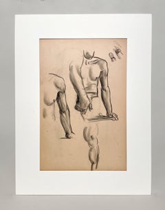 A Fine, Modern 1930s Academic Anatomical Figure Study Drawing of a Male Model