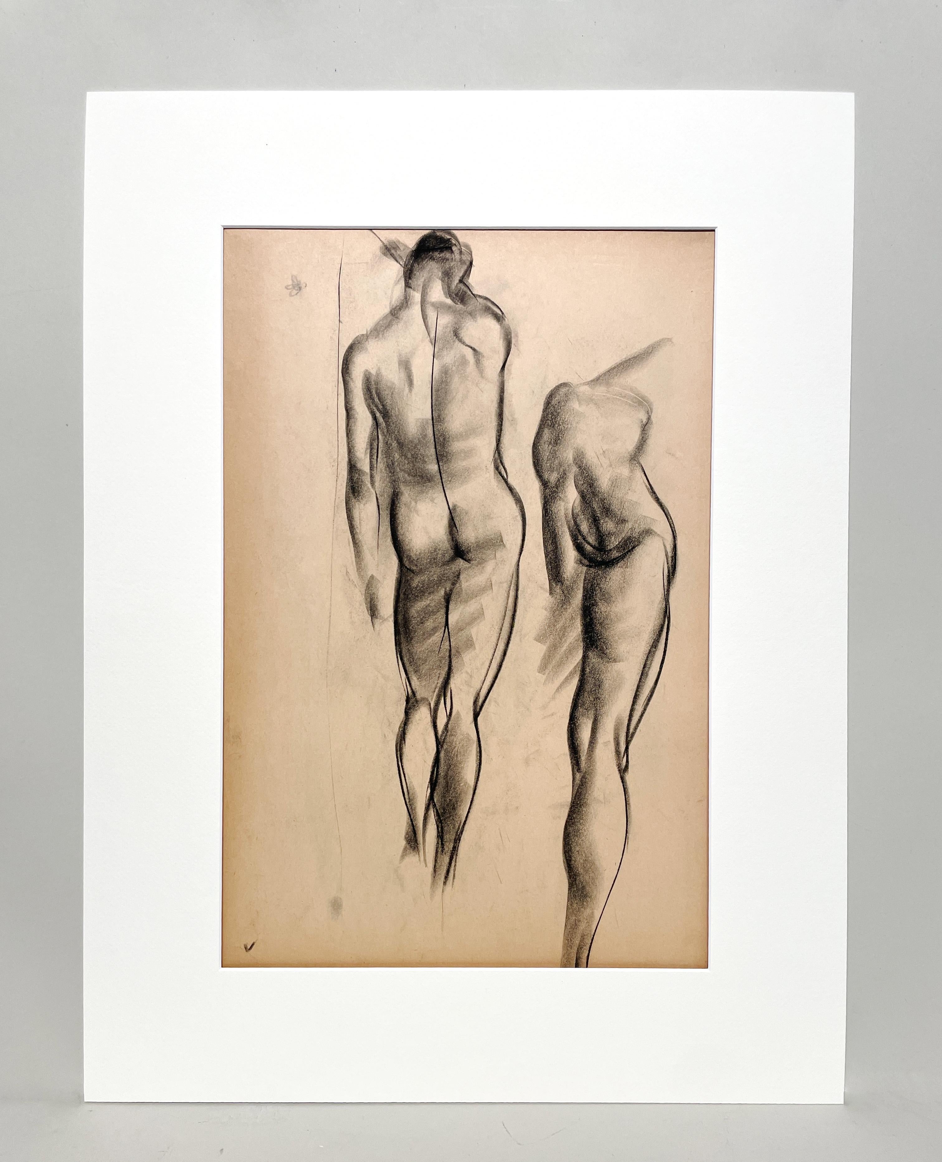 Dessin d'étude anatomique d'un modèle masculin, moderne et académique des années 1930. - Art de Harold Haydon