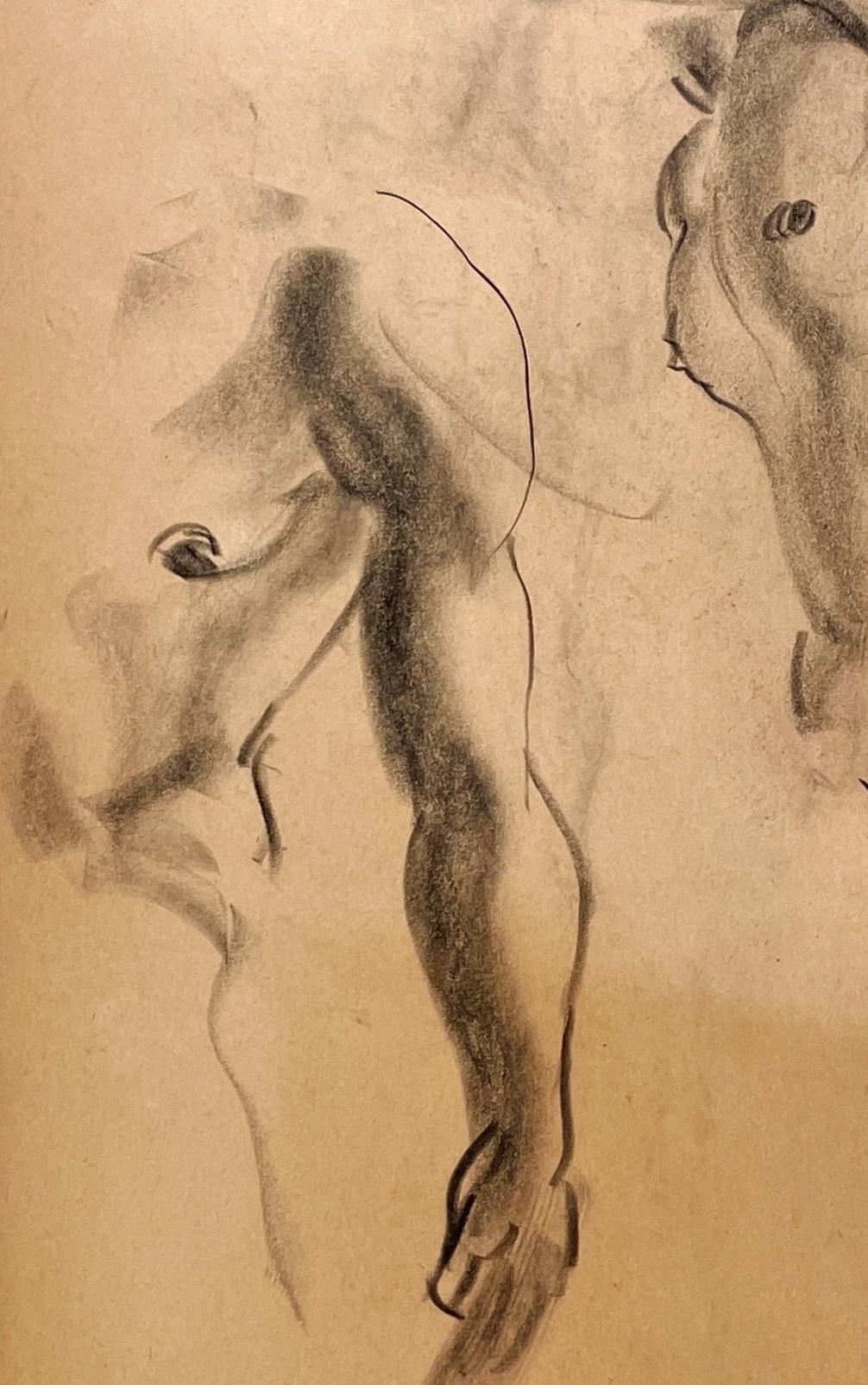 Dibujo de estudio anatómico de un modelo masculino, moderno y académico de los años 30 en venta 1