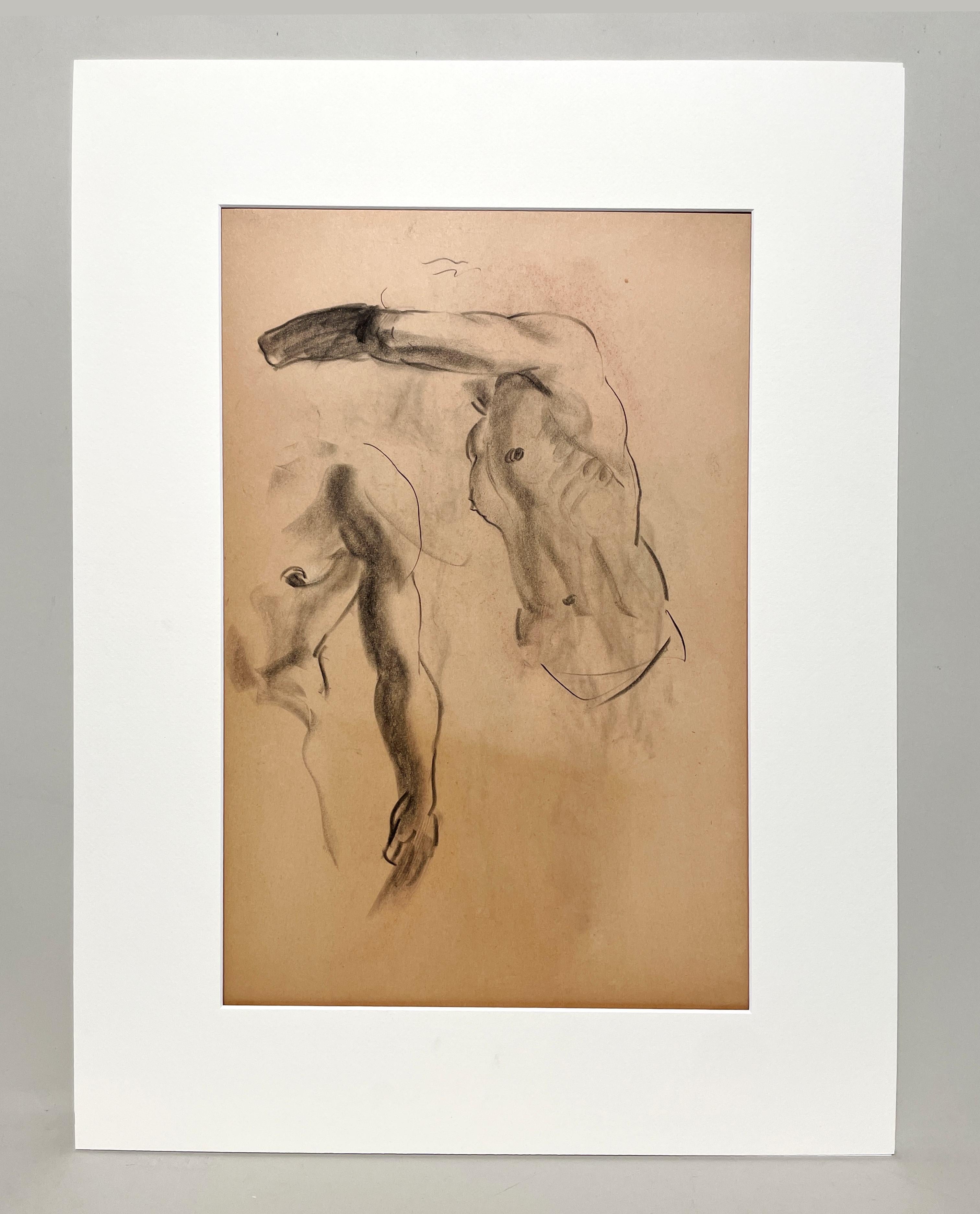 Dibujo de estudio anatómico de un modelo masculino, moderno y académico de los años 30 - Art de Harold Haydon