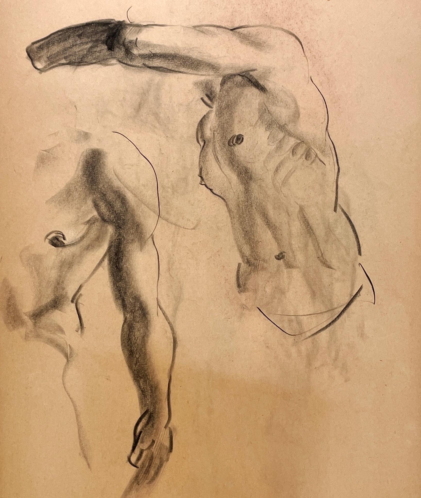 Dibujo de estudio anatómico de un modelo masculino, moderno y académico de los años 30 - Nude Beige de Harold Haydon