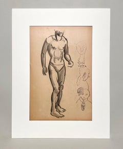 A Fine, Modern 1930s Academic Anatomical Figure Study Drawing of a Male Model