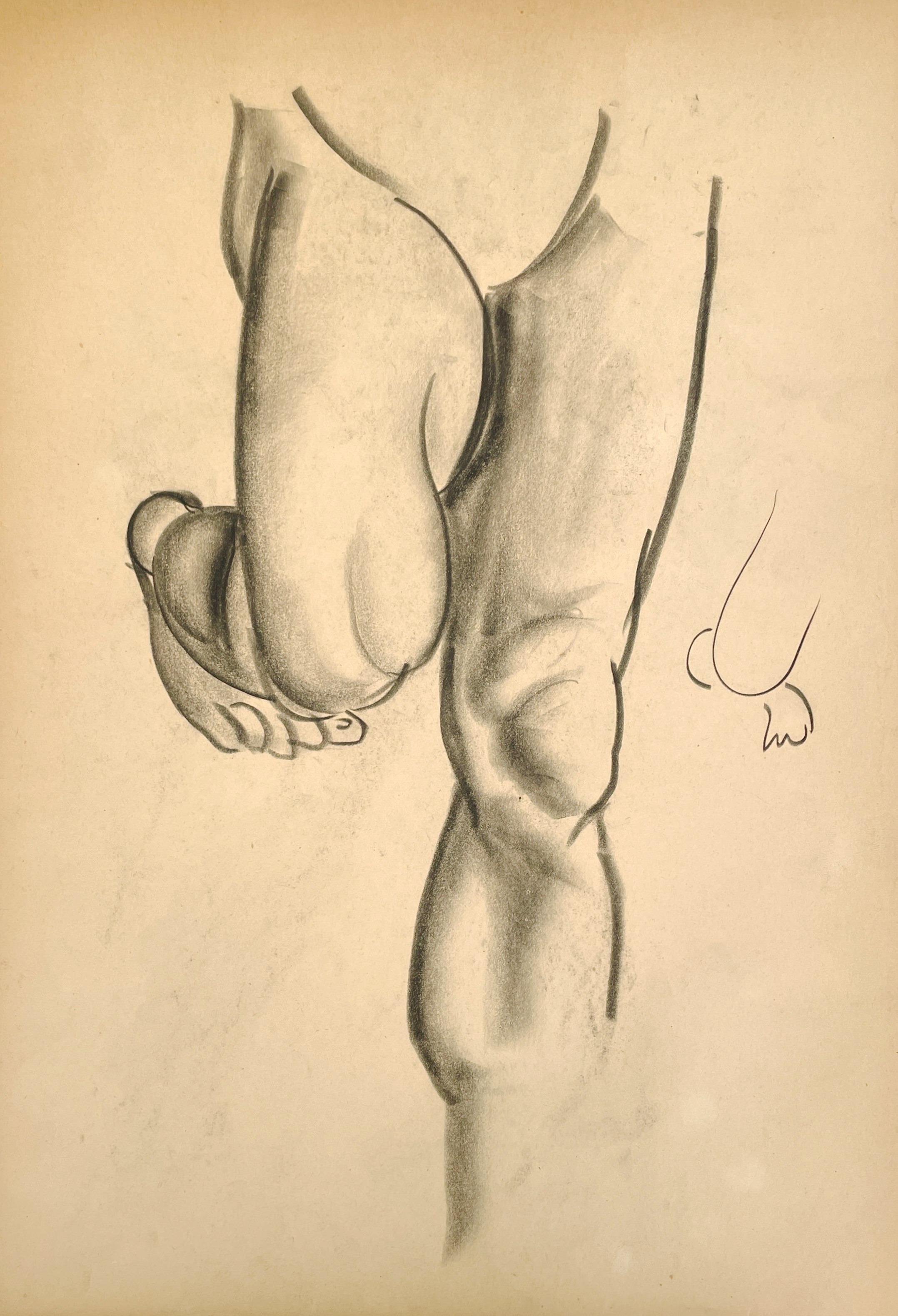 Dibujo de estudio anatómico de un modelo masculino, moderno y académico de los años 30 en venta 4