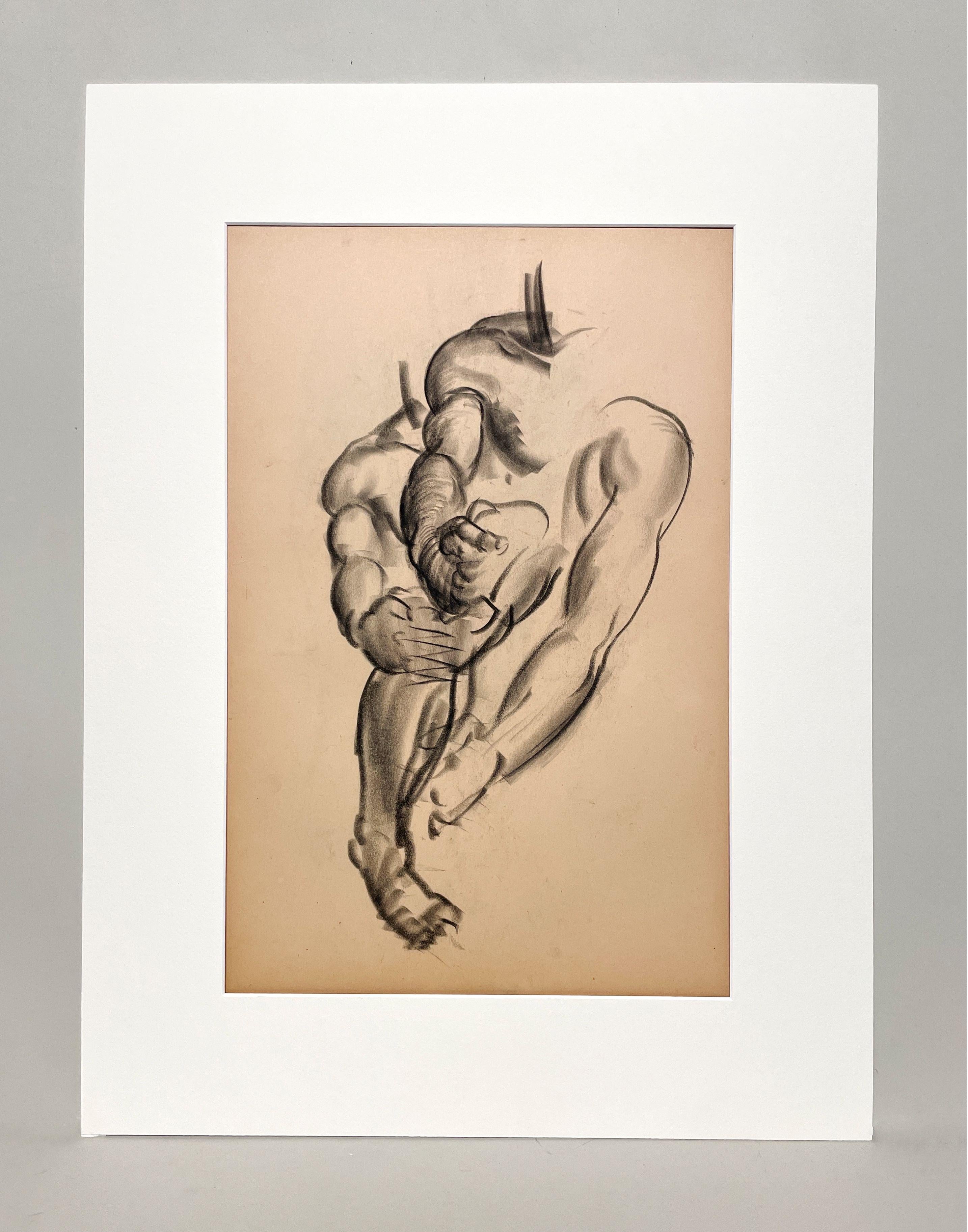 Dessin d'étude anatomique d'un modèle masculin, moderne et académique des années 1930. - Art de Harold Haydon