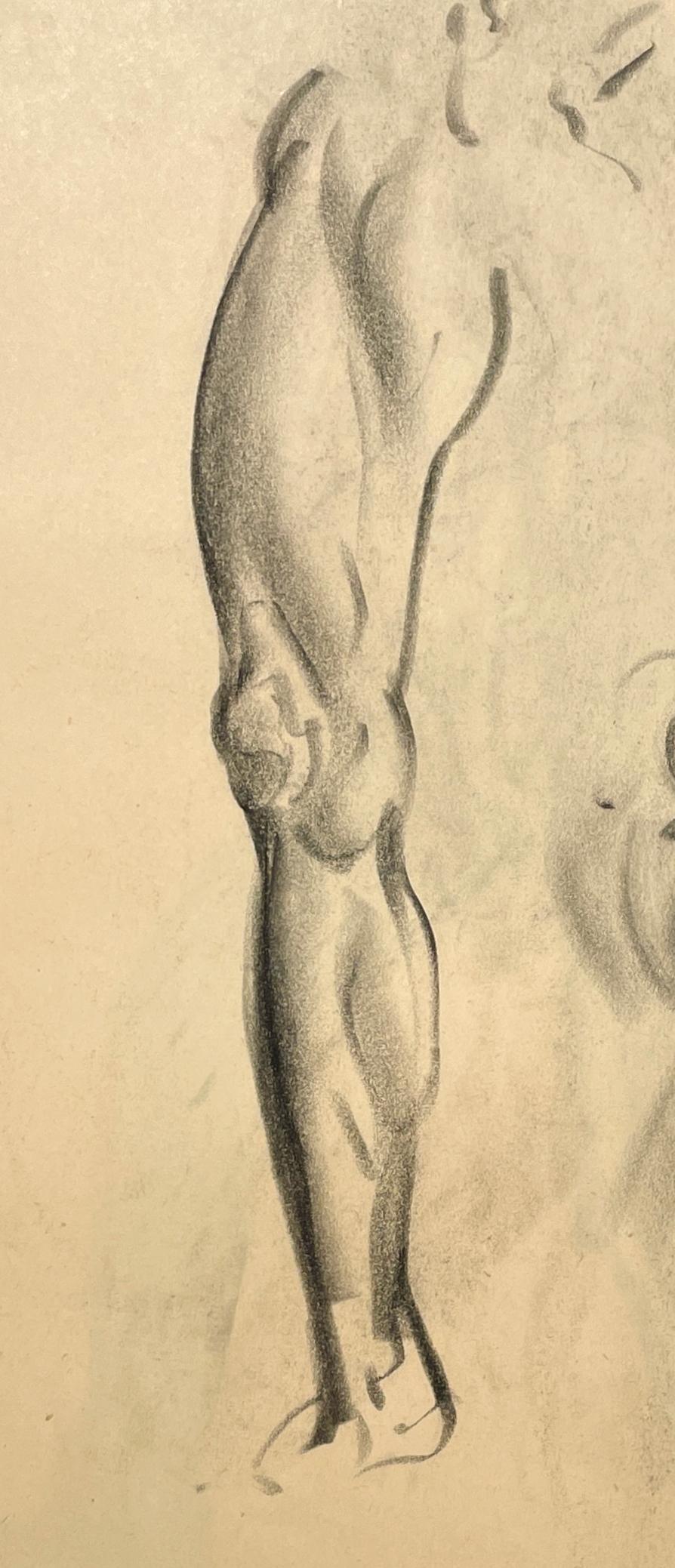 Dessin d'étude anatomique d'un modèle masculin, moderne et académique des années 1930. en vente 3