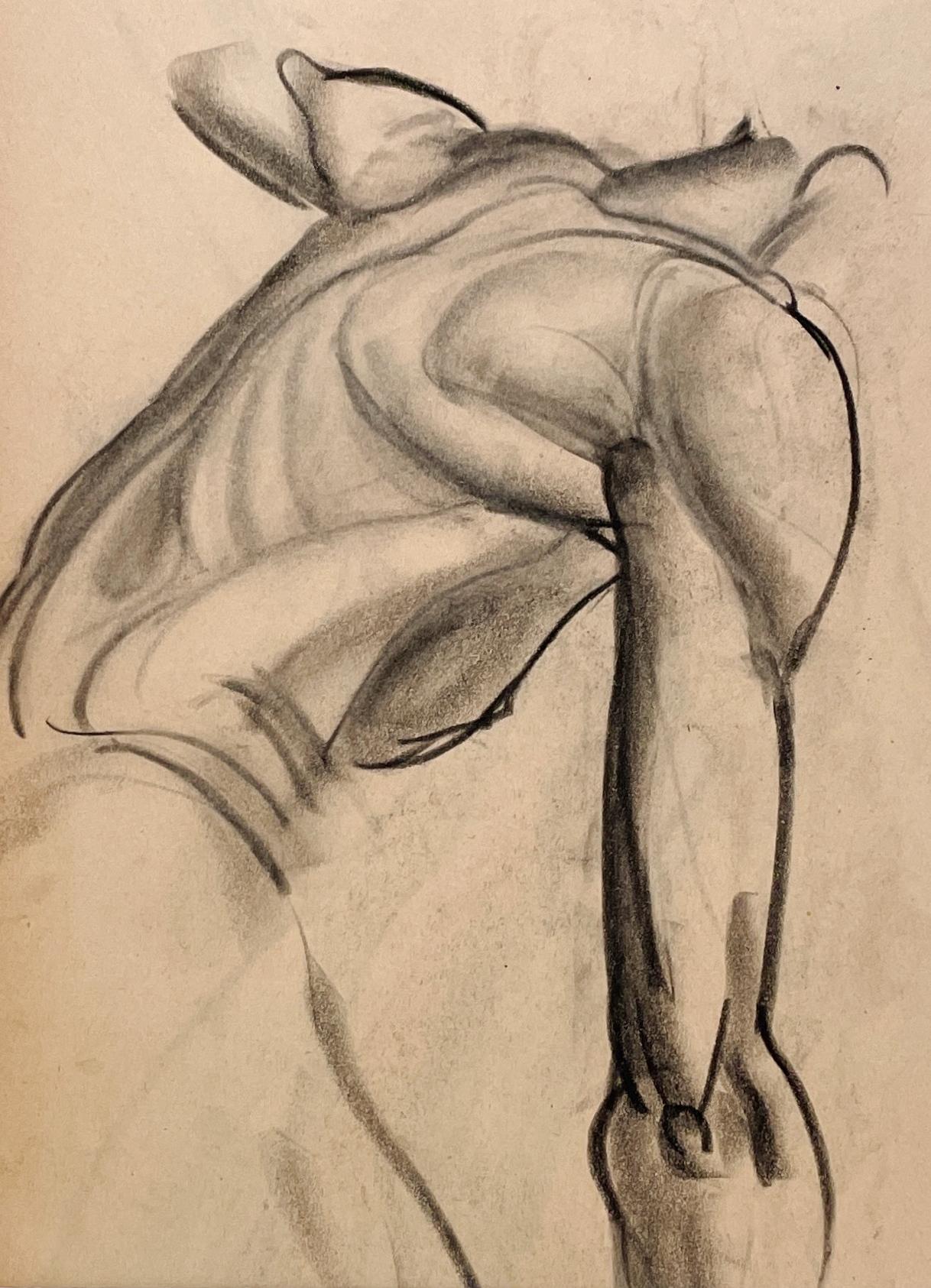 Beau dessin d'étude anatomique d'un modèle masculin nu, réalisé dans les années 1930 par Harold Haydon (Am. 1909-1994), artiste renommé de Chicago.  Un dessin au fusain exceptionnellement bien exécuté par Haydon au début des années 1930 (Étude du