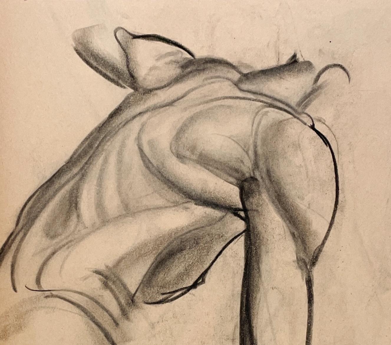 Dessin d'étude anatomique d'une belle figure académique moderne des années 1930 (Modèle masculin, dos) - Beige Nude par Harold Haydon