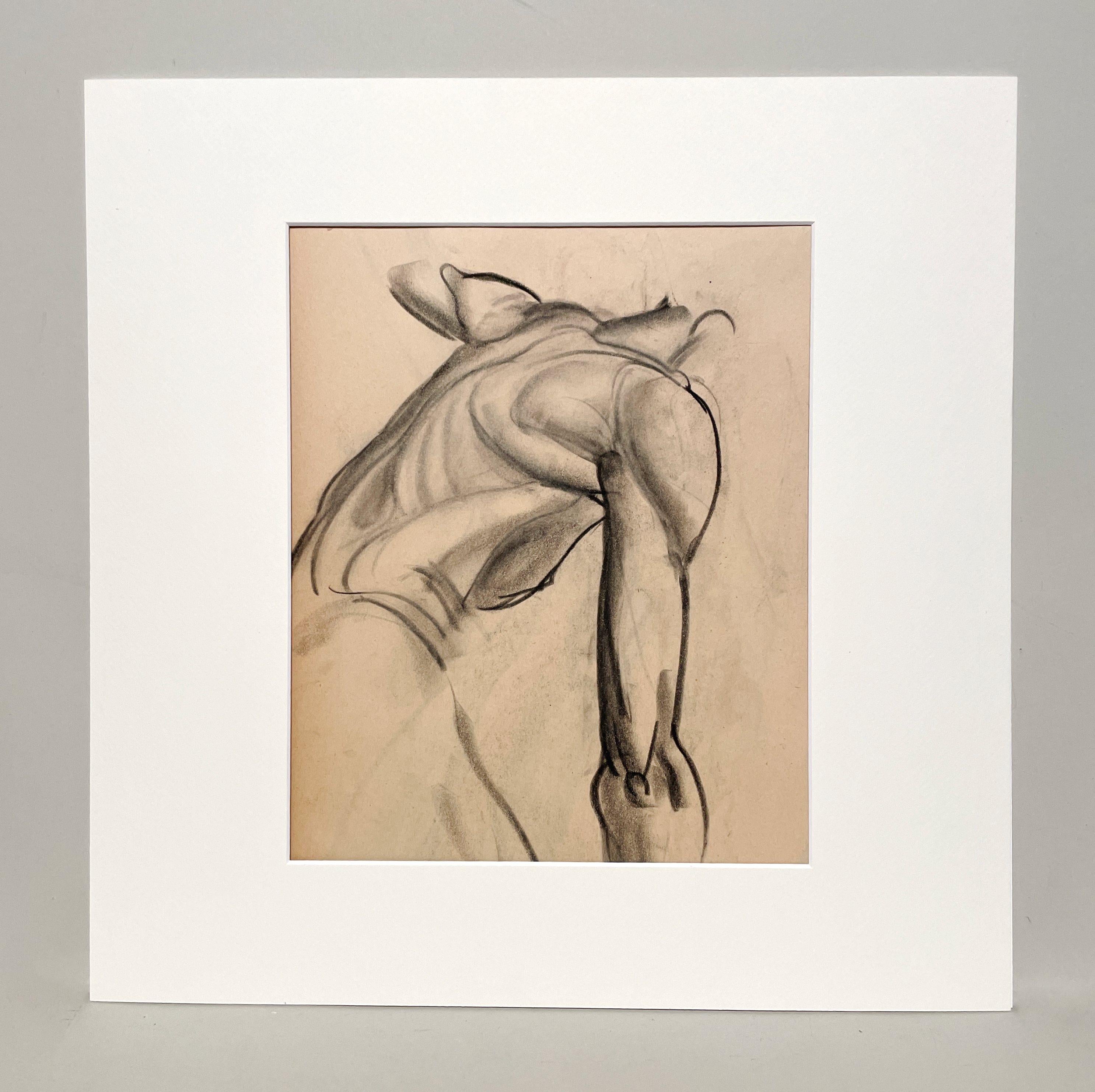 Dessin d'étude anatomique d'une belle figure académique moderne des années 1930 (Modèle masculin, dos) - Art de Harold Haydon