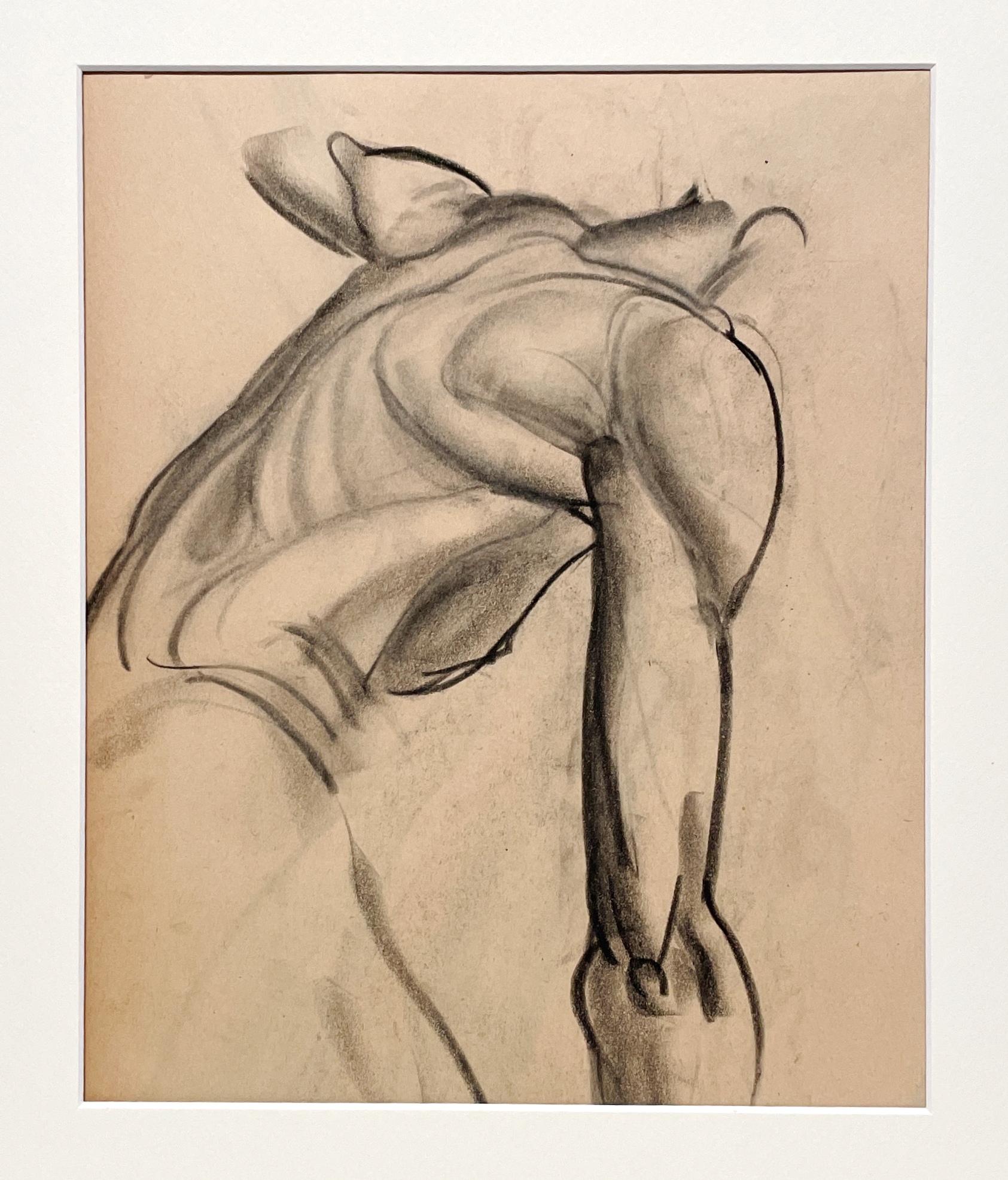 Dessin d'étude anatomique d'une belle figure académique moderne des années 1930 (Modèle masculin, dos) - Modernisme américain Art par Harold Haydon