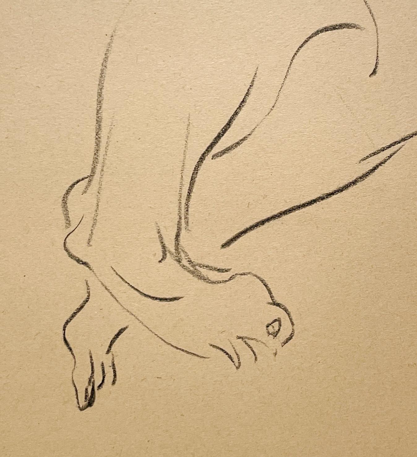 Un beau dessin d'étude de figure anatomique académique moderne des années 1930 par le célèbre artiste de Chicago, Harold Haydon (Am. 1909-1994).  Une étude au fusain bien exécutée, datant du début des années 1930, représentant les jambes et les