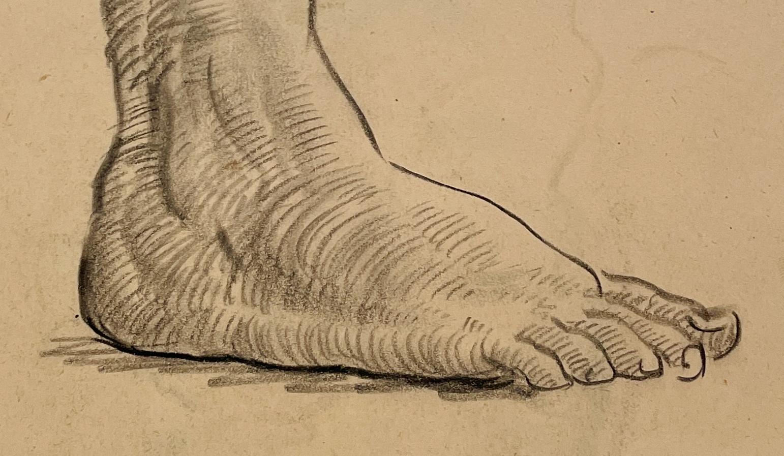 Belle étude anatomique moderne des années 1930 d'un pied masculin par le célèbre artiste de Chicago, Harold Haydon (1909-1994).  Une étude au fusain bien exécutée, datant du début des années 1930, qui met en évidence le raffinement et l'assurance du