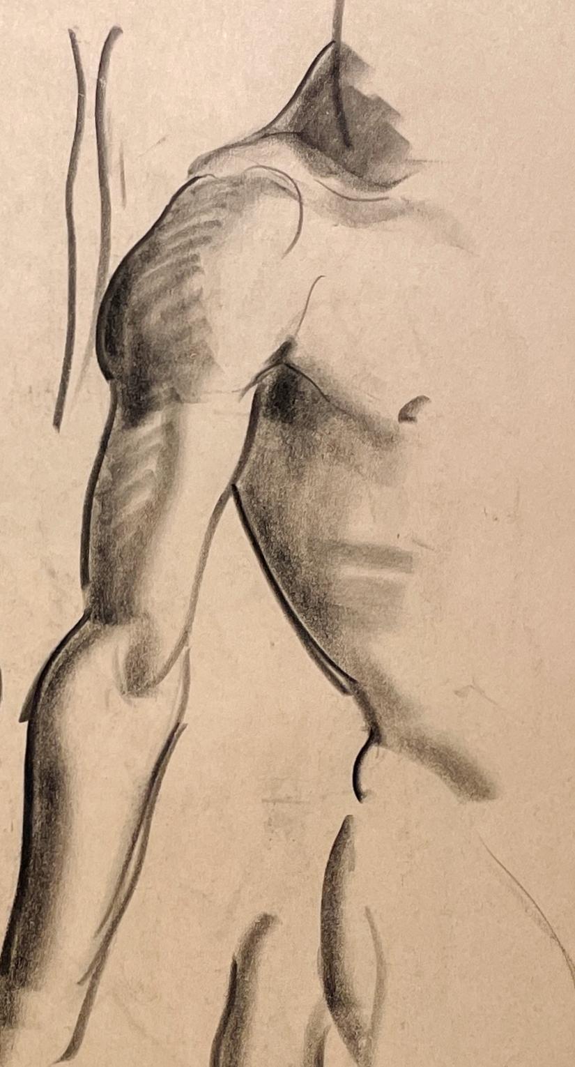 Dibujo de estudio anatómico, moderno y académico de los años 30, de un joven modelo desnudo, de pie, del famoso artista de Chicago Harold Haydon (Am. 1909-1994).  Un dibujo a carboncillo de principios de los años 30 excepcionalmente bien ejecutado