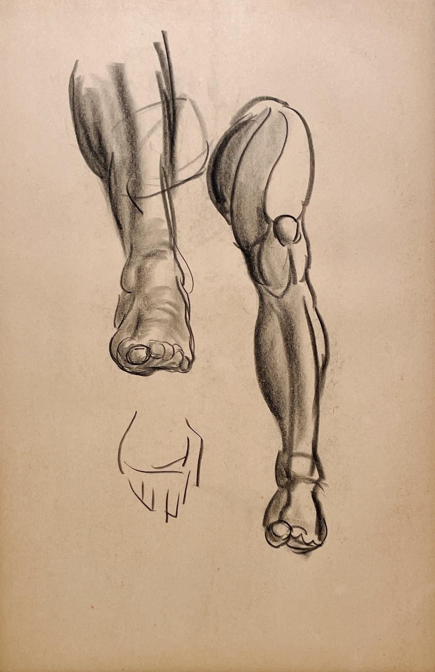 Belle étude anatomique moderne des années 1930 (jambes, genoux et pieds masculins)