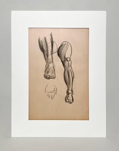 A Fine, Modern 1930s Academic Anatomical Figure Study (Male Legs, Knee & Feet)
