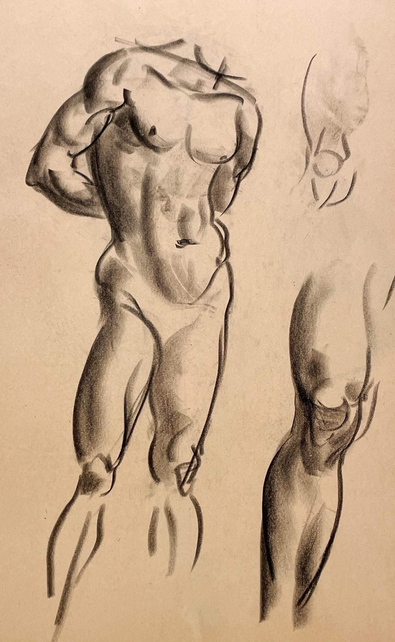 Beau dessin d'étude de figure académique moderne des années 1930 d'un modèle masculin nu debout par le célèbre artiste de Chicago, Harold Haydon (Am. 1909-1994).  Exceptionnellement bien exécuté, ce dessin au fusain réalisé par Artistics au début