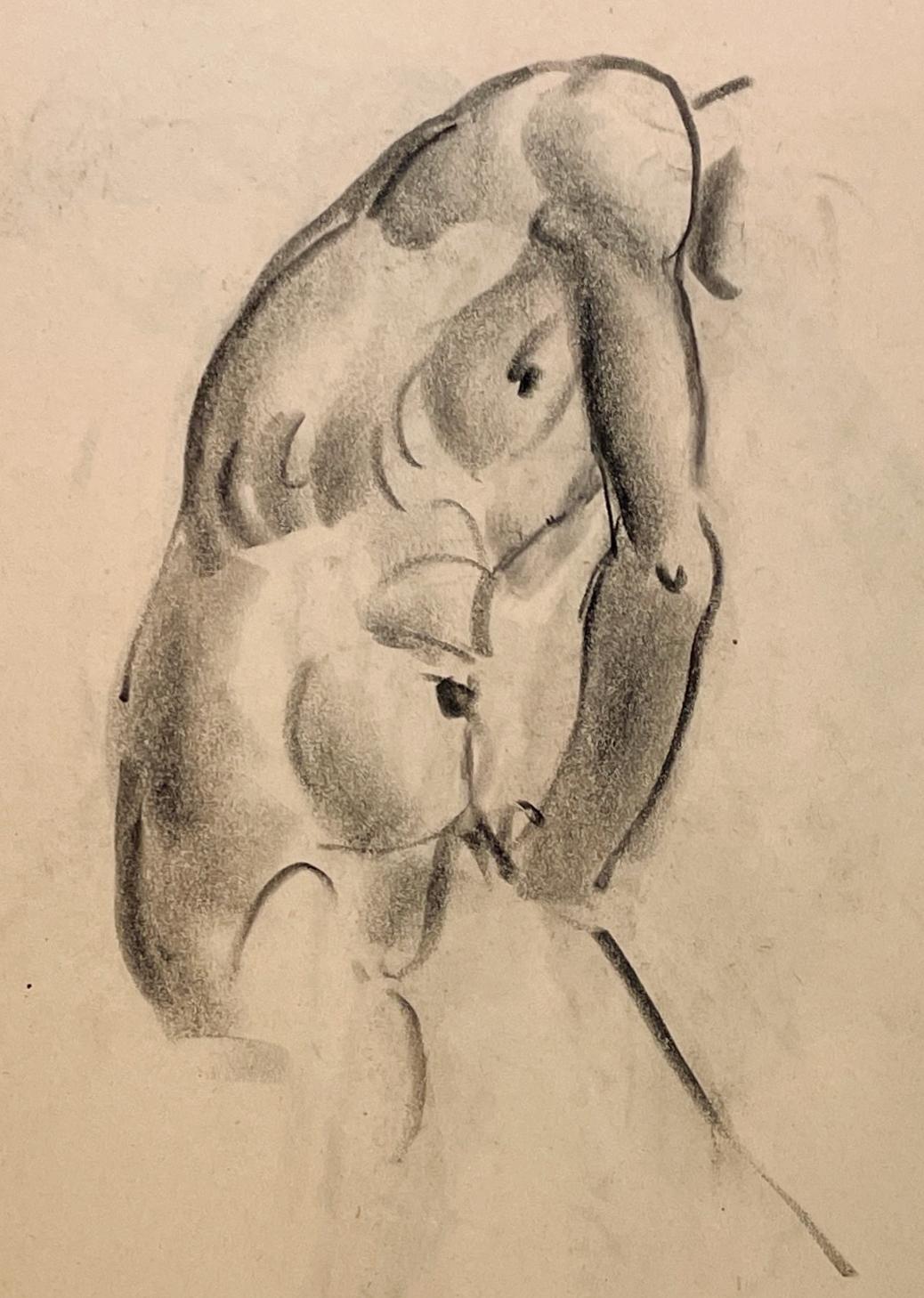 Fino dibujo de estudio anatómico académico moderno de la década de 1930 de un modelo masculino desnudo sentado (torso), del famoso artista de Chicago Harold Haydon (Am. 1909-1994).  Un dibujo a carboncillo de Haydon, de principios de los años 30,