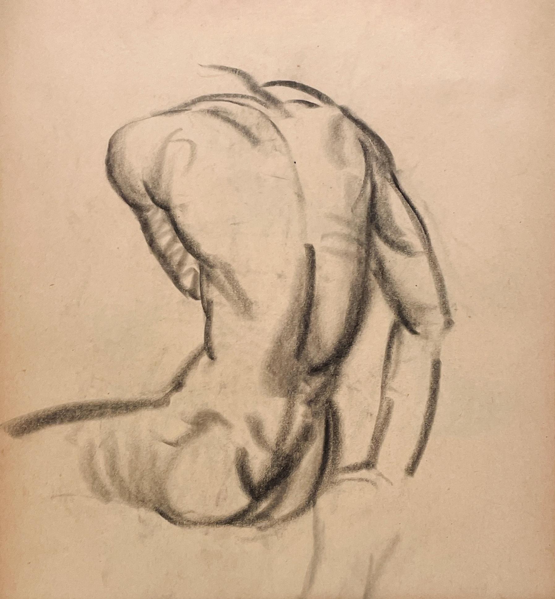 Belle étude anatomique moderne des années 1930 (homme assis, de dos)