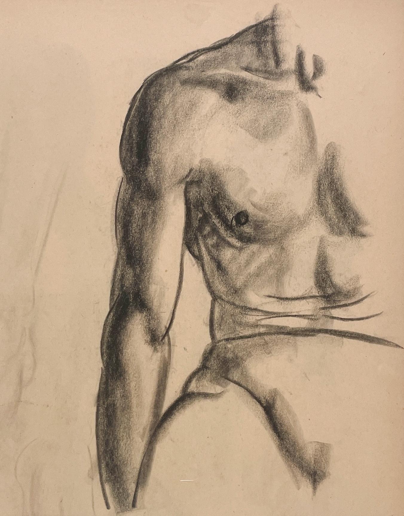 Harold Haydon Nude - A Fine, Modern 1930s Academic Anatomical Figure Study (Seated Male Model, Torso)
