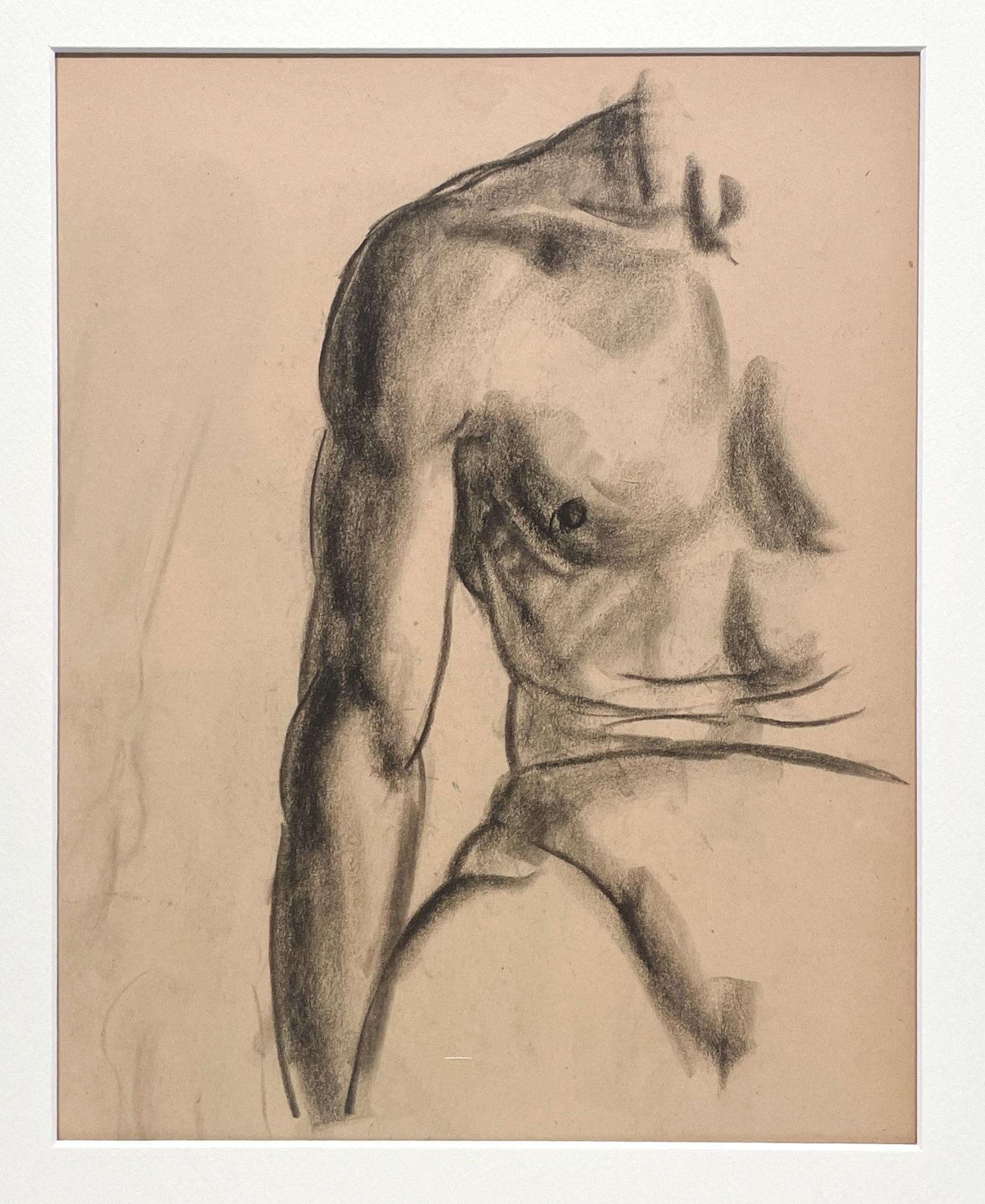 A Fine, Modern 1930s Academic Anatomical Figure Study (Seated Male Model, Torso) - American Modern Art by Harold Haydon