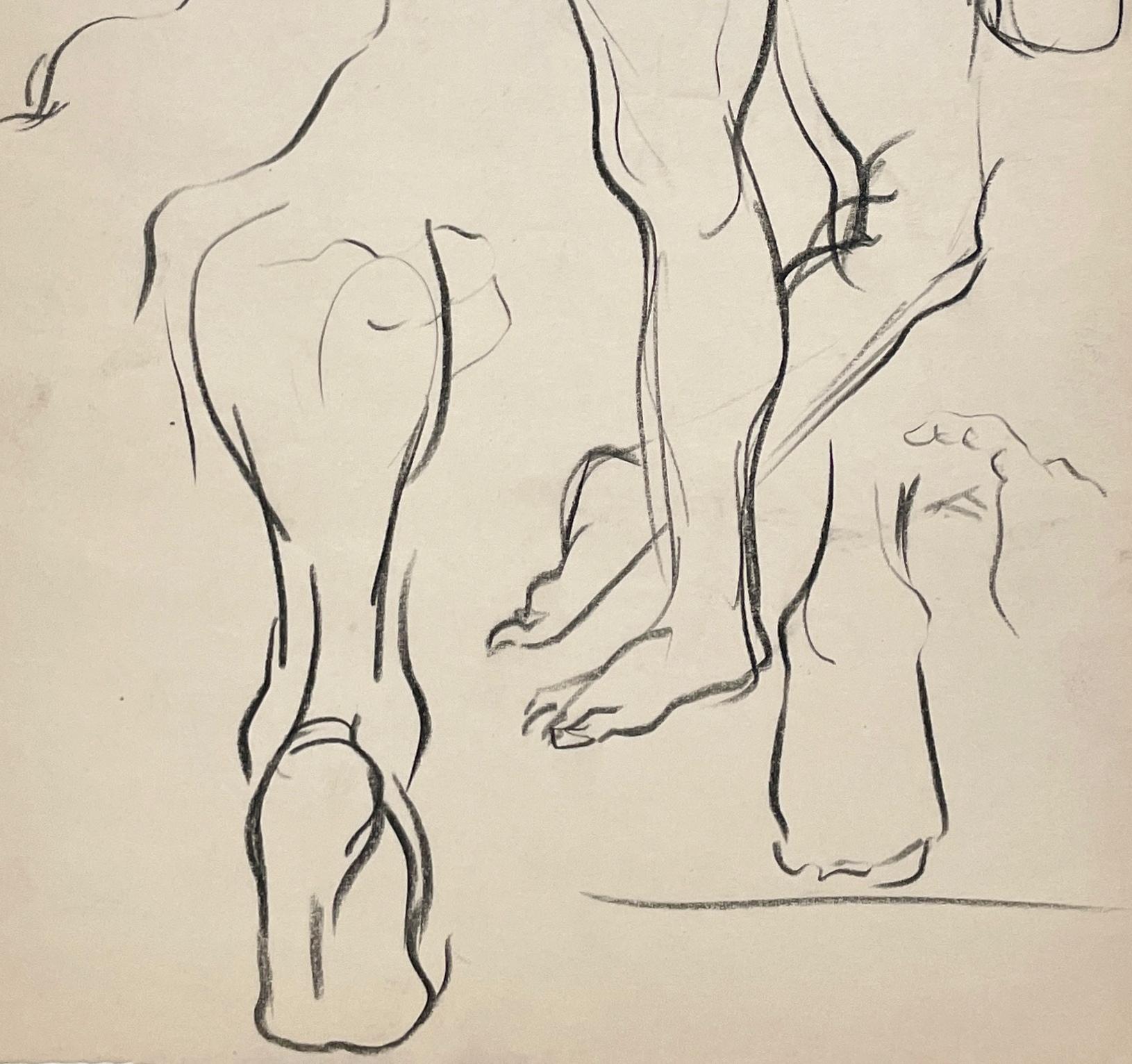 Un raffinato studio di figura anatomica accademica di metà secolo moderno degli anni '50 di Harold Haydon (Am. 1909-1994), noto artista di Chicago, con braccia, gambe e piedi.  Un disegno di studio di figura composito ad inchiostro ben eseguito che