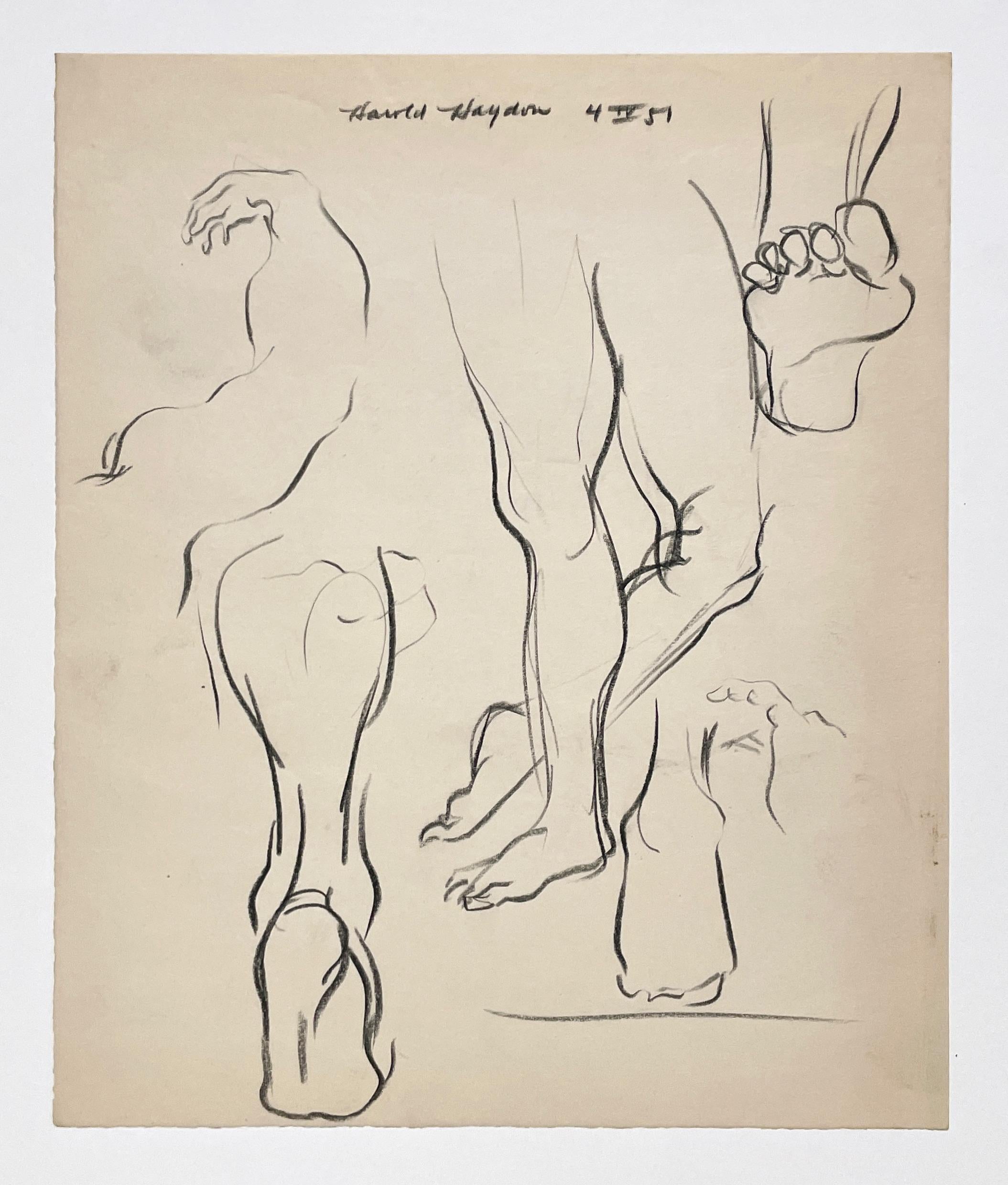 Un raffinato studio di figura anatomica accademica della metà degli anni '50 (gambe e piedi) - Art American Modern di Harold Haydon