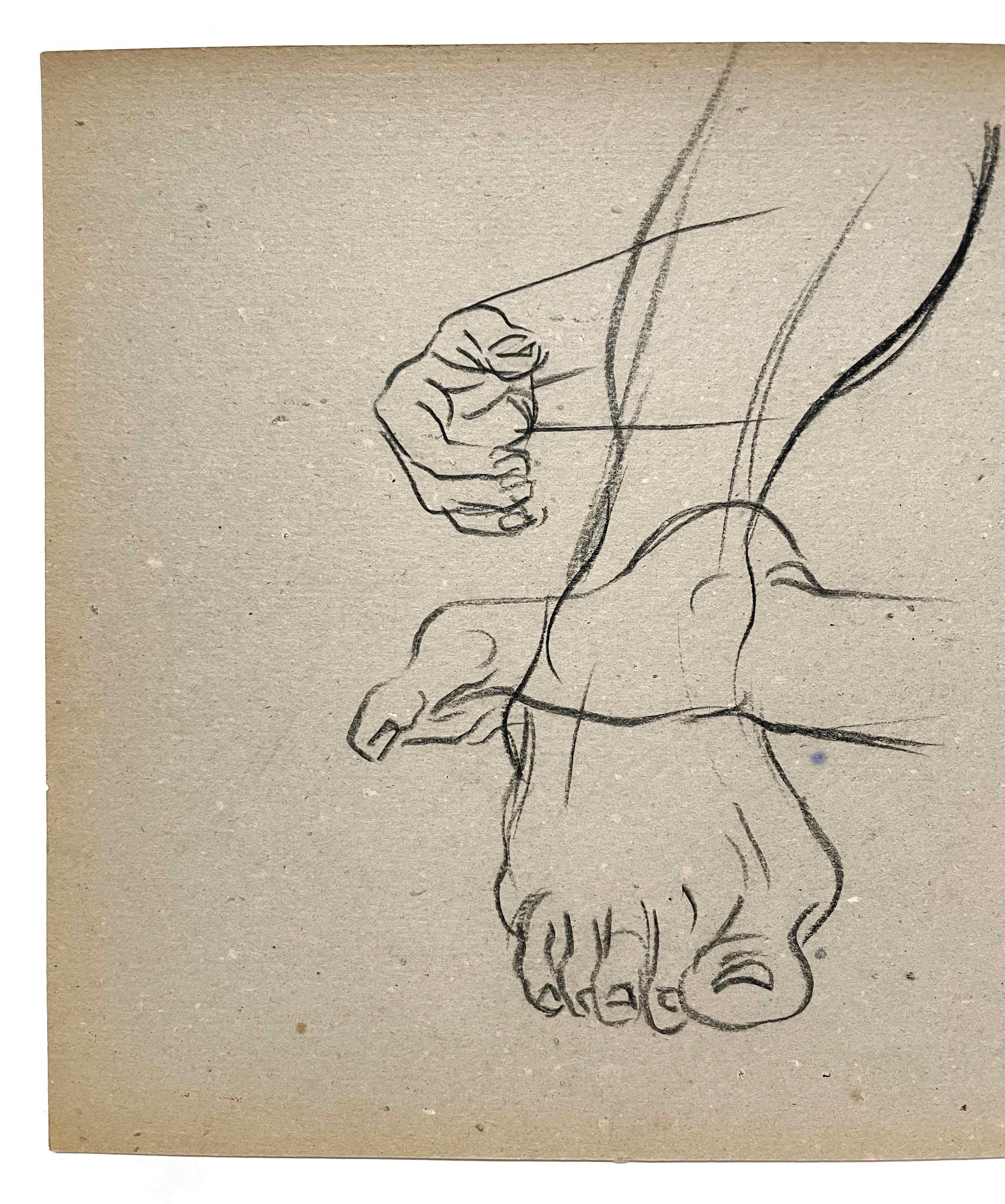 Belle étude de figure anatomique académique (main et pieds) datant des années 1950 et du milieu du siècle dernier en vente 1