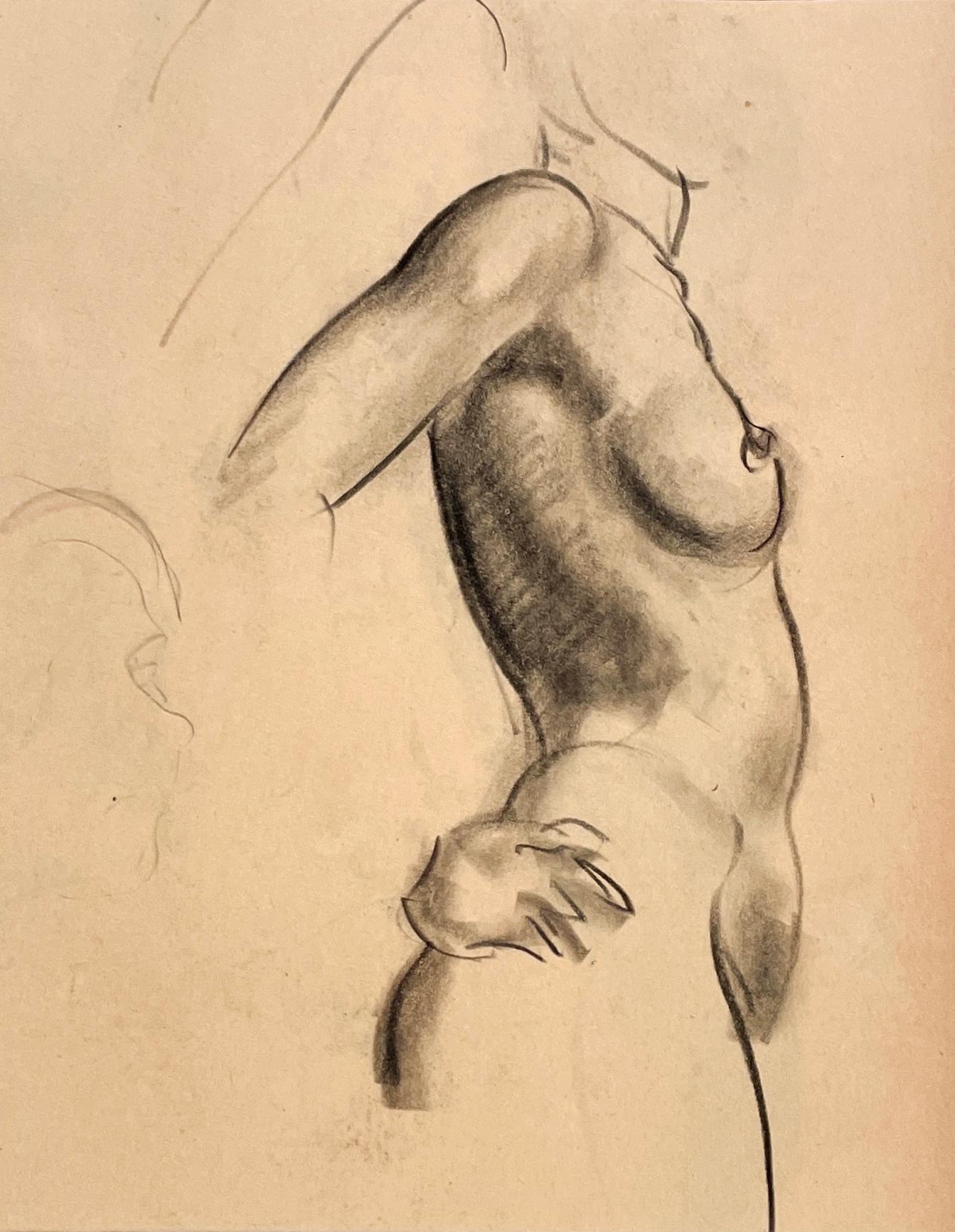 Étude de figure moderne des années 1930 très finement dessinée, modèle féminin nu debout, torse