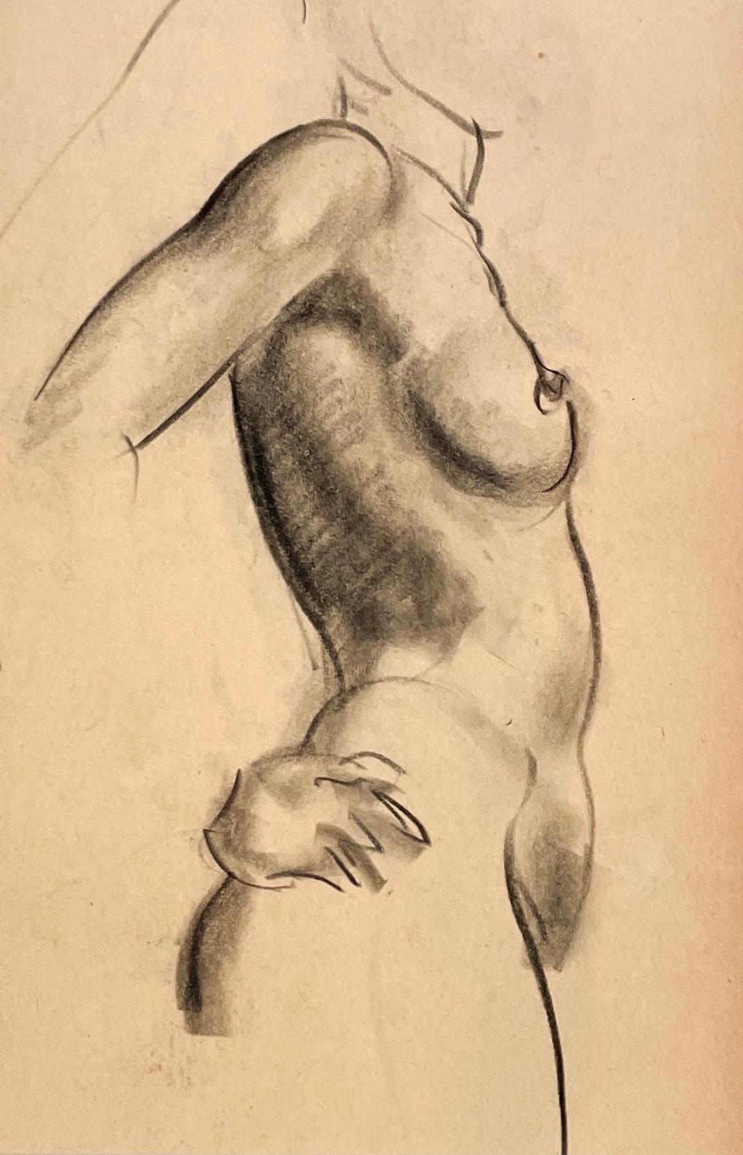 Eine sehr fein gezeichnete, moderne Figurenstudie eines stehenden weiblichen Aktmodells (Torso) aus den 1930er Jahren von Harold Haydon (Am. 1909-1994), einem bekannten modernen Künstler aus Chicago.   Eine frühe Kohlezeichnung von Haydon, die sein