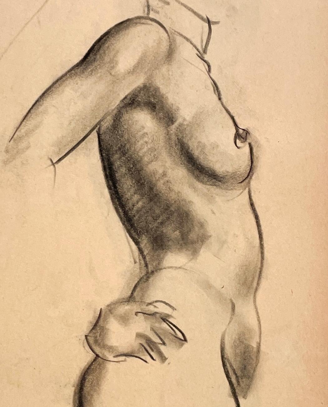 Eine sehr fein gezeichnete moderne Figurenstudie aus den 1930er Jahren, Stehender weiblicher Akt, Torso im Angebot 1