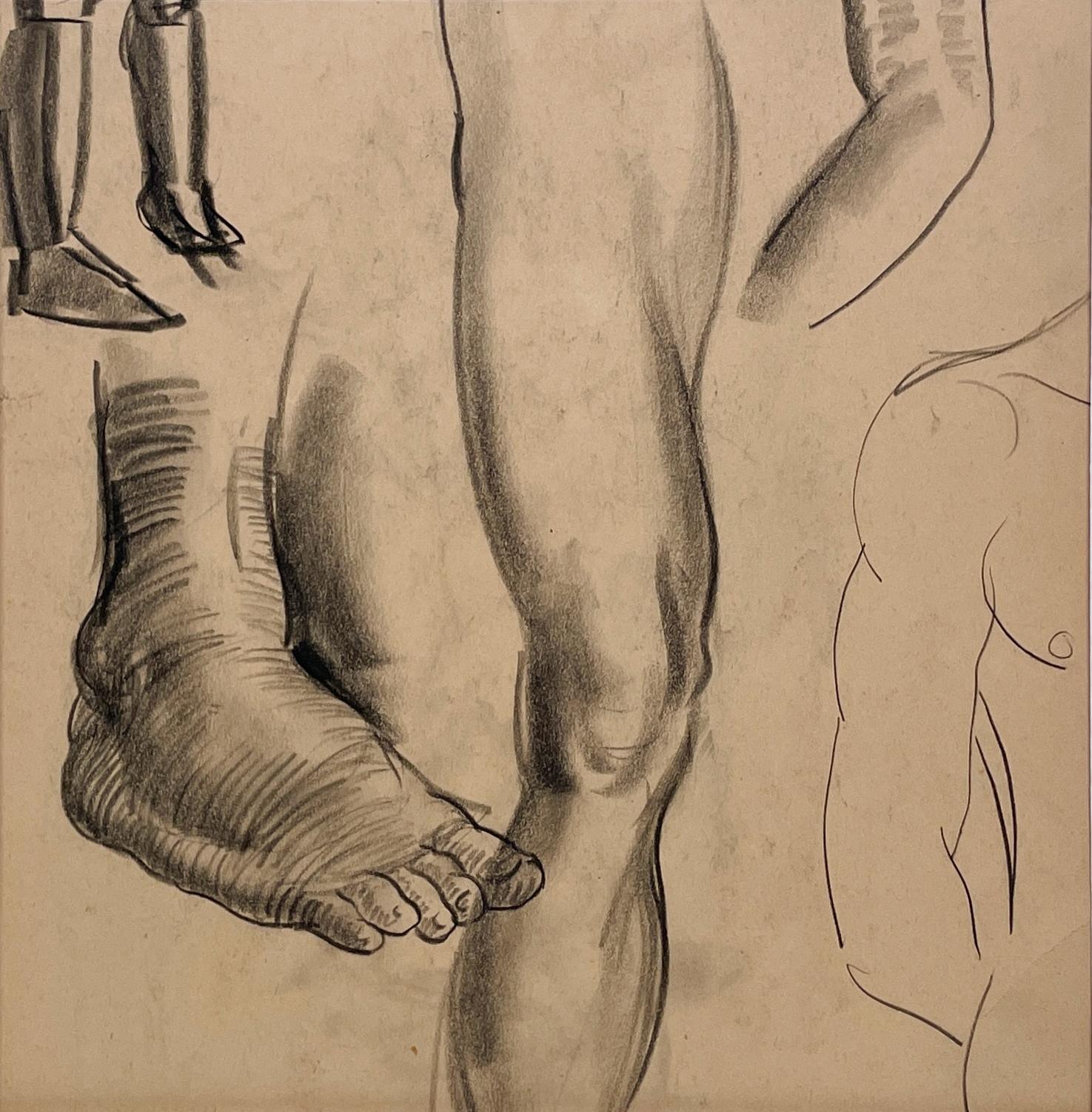 Harold Haydon Figurative Art - A Fine, Modern 1930s Academic Anatomical Figure Study (Male Torso, Legs 
Feet)