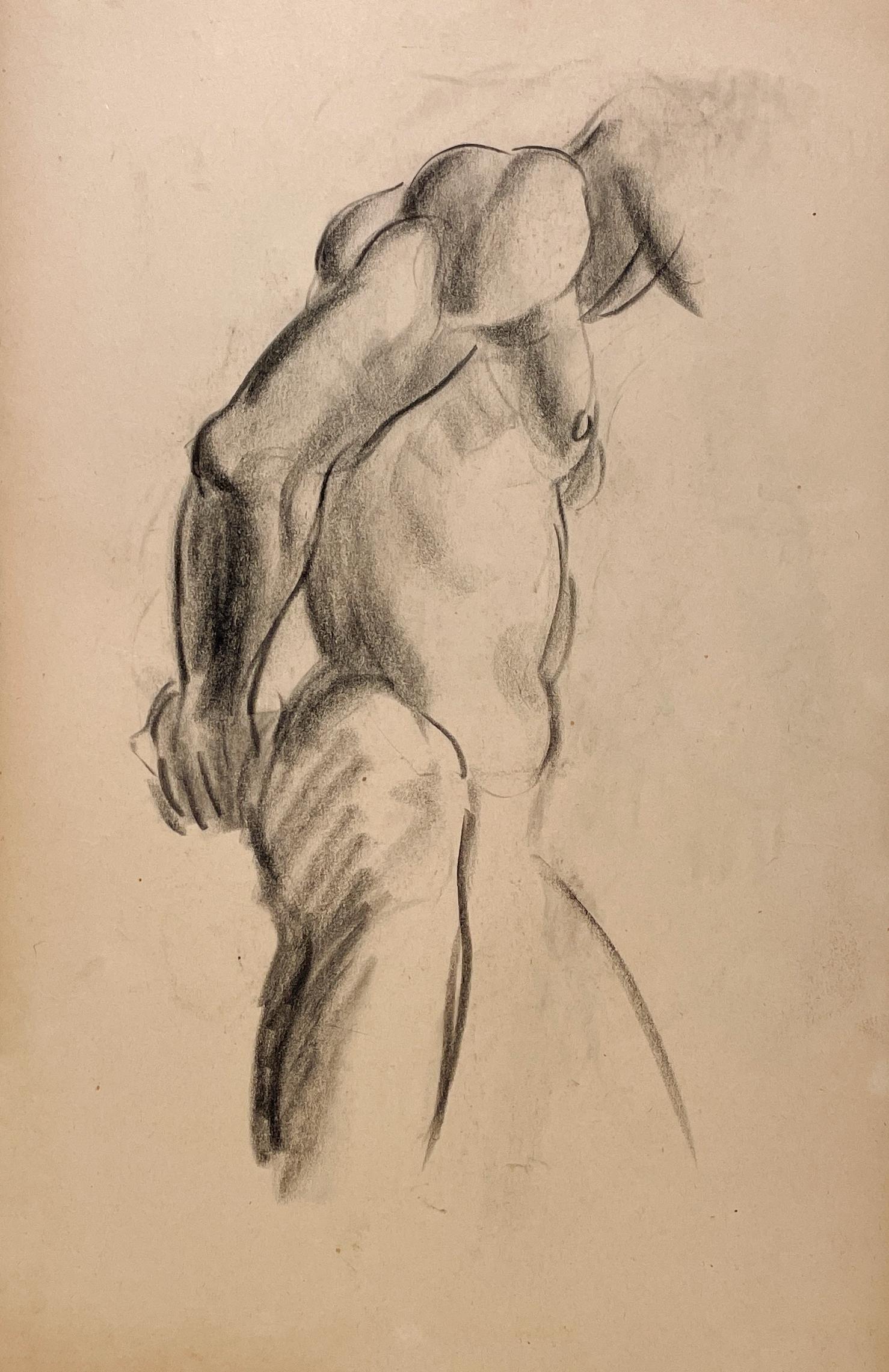 A Finely Drawn 1930s Modern Figure Study, Standing Male Nude Model, Torso - Art by Harold Haydon