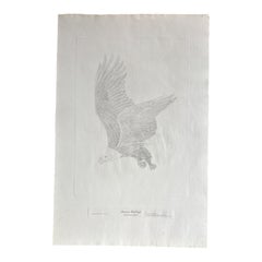 American Bald Eagle Engraving by Norma Morgan – Wildlife Print